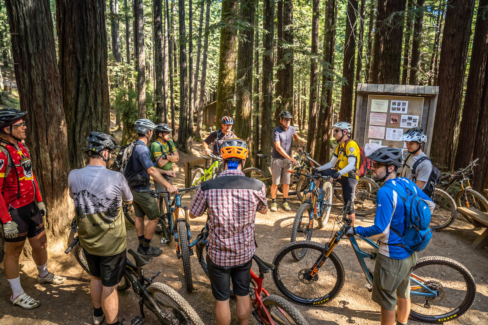 Group ride outs for every lung size and shape