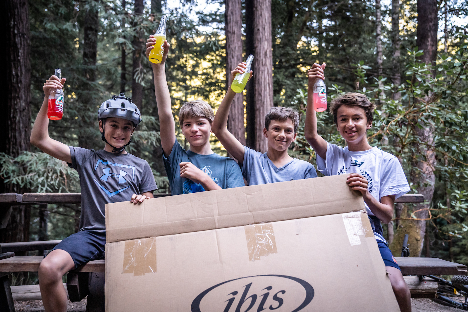 Drinking the Ibis cool-aid