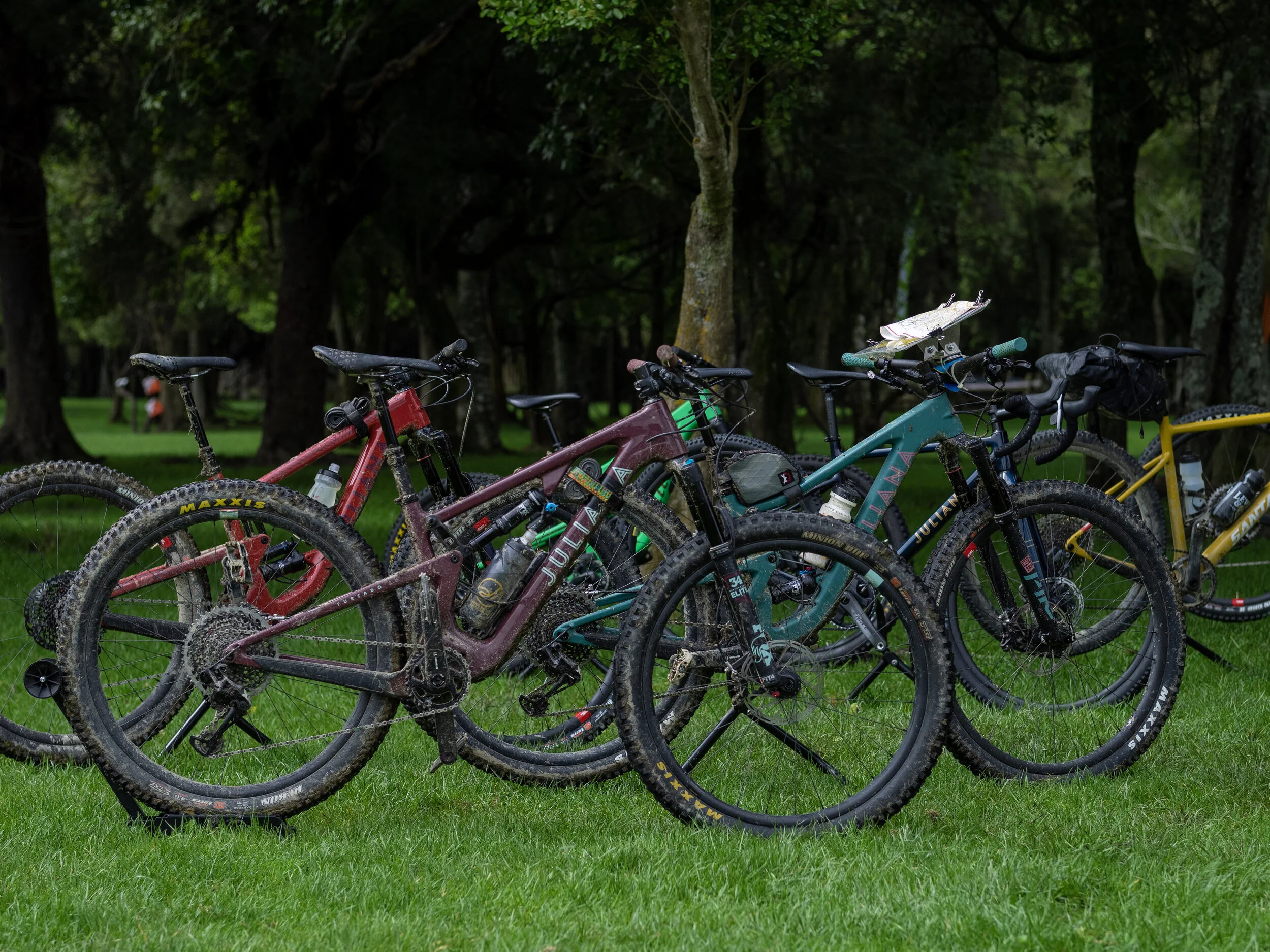 Spring Challenge Bikes.jpg.jpg