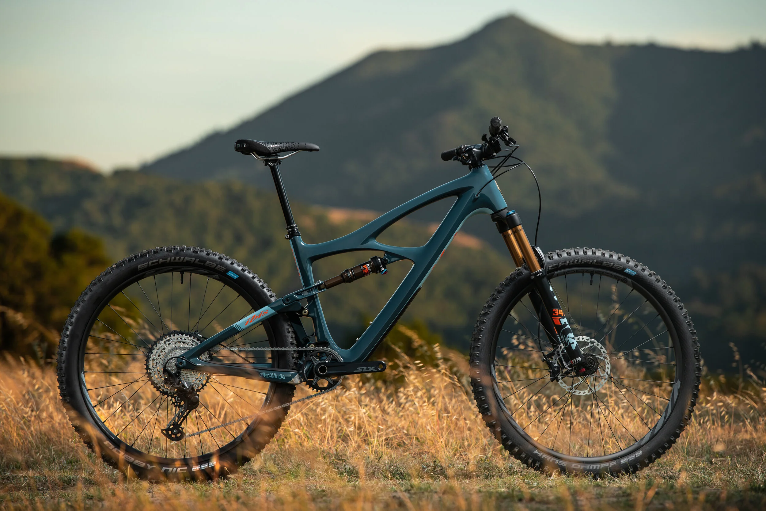 Mojo V4 - The Icon Returns