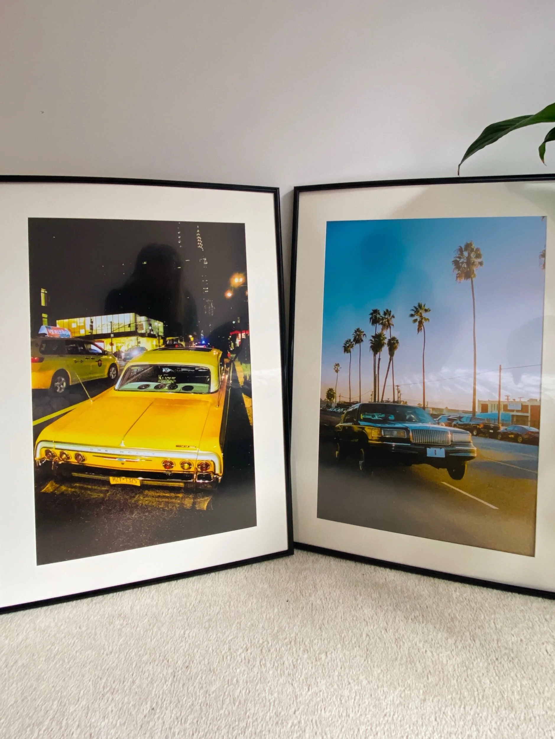 5E558535-5B2E-4C13-94C9-2CFDAD4E865F