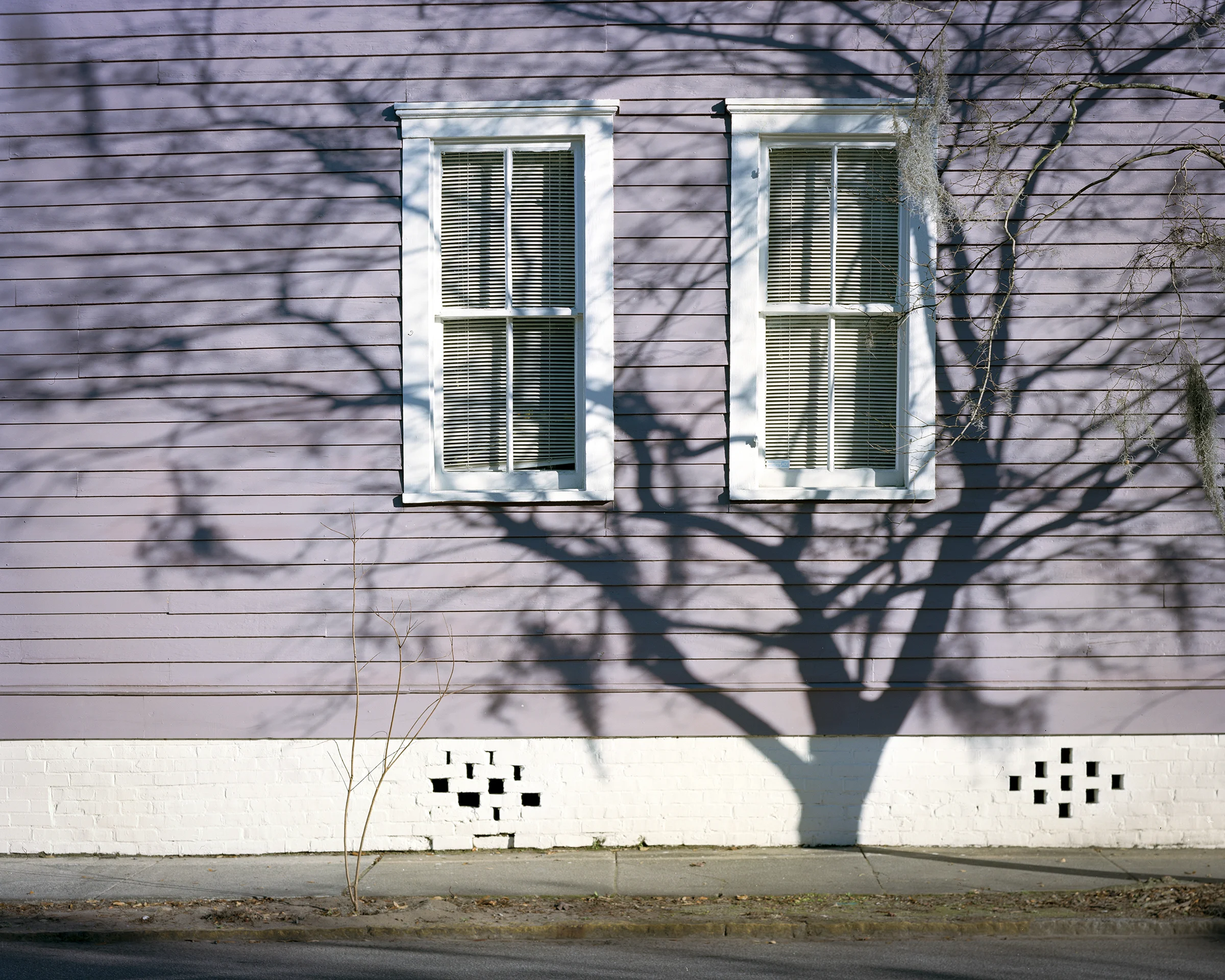 tree shadow on house.jpg