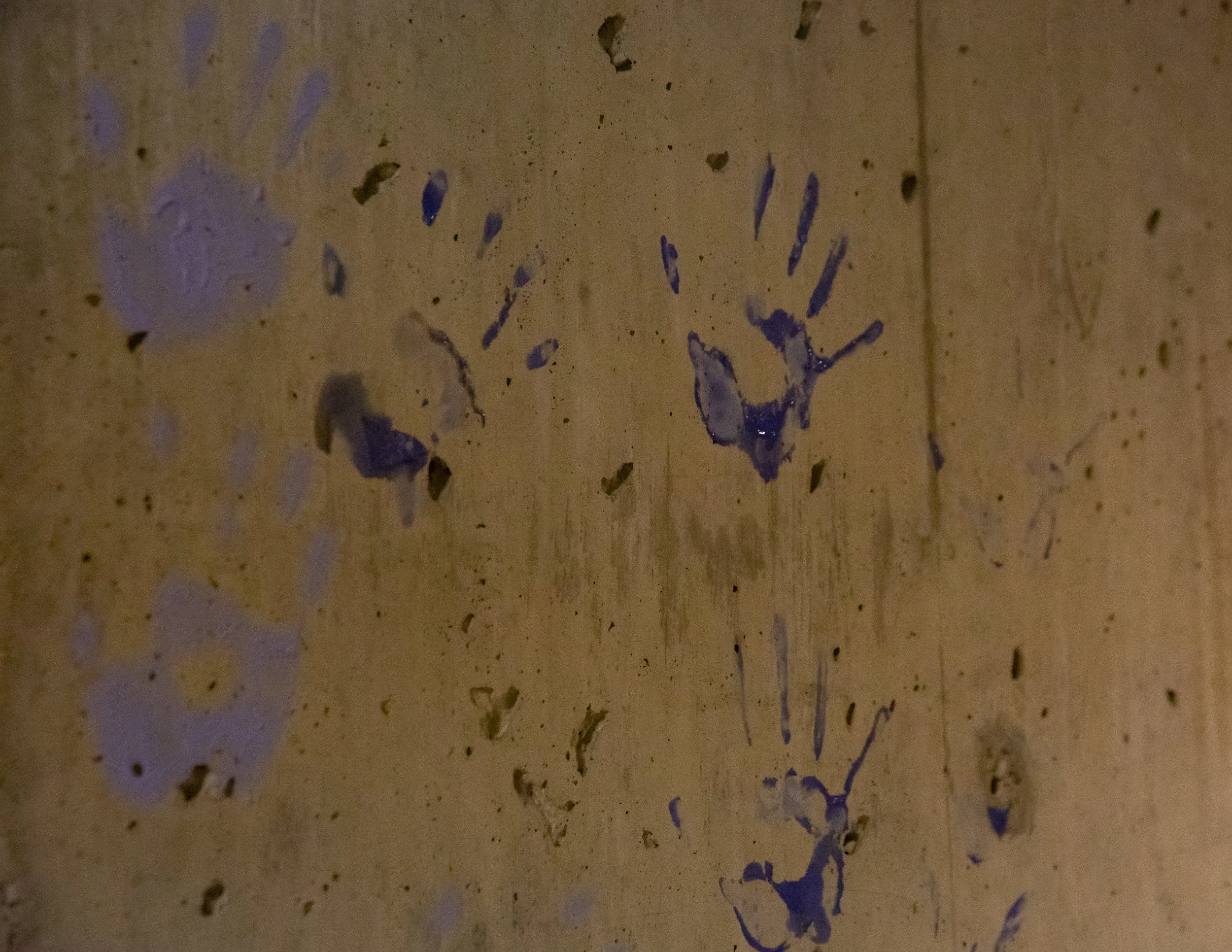 2019_01_22_ThisBetweenShadow_114.jpg