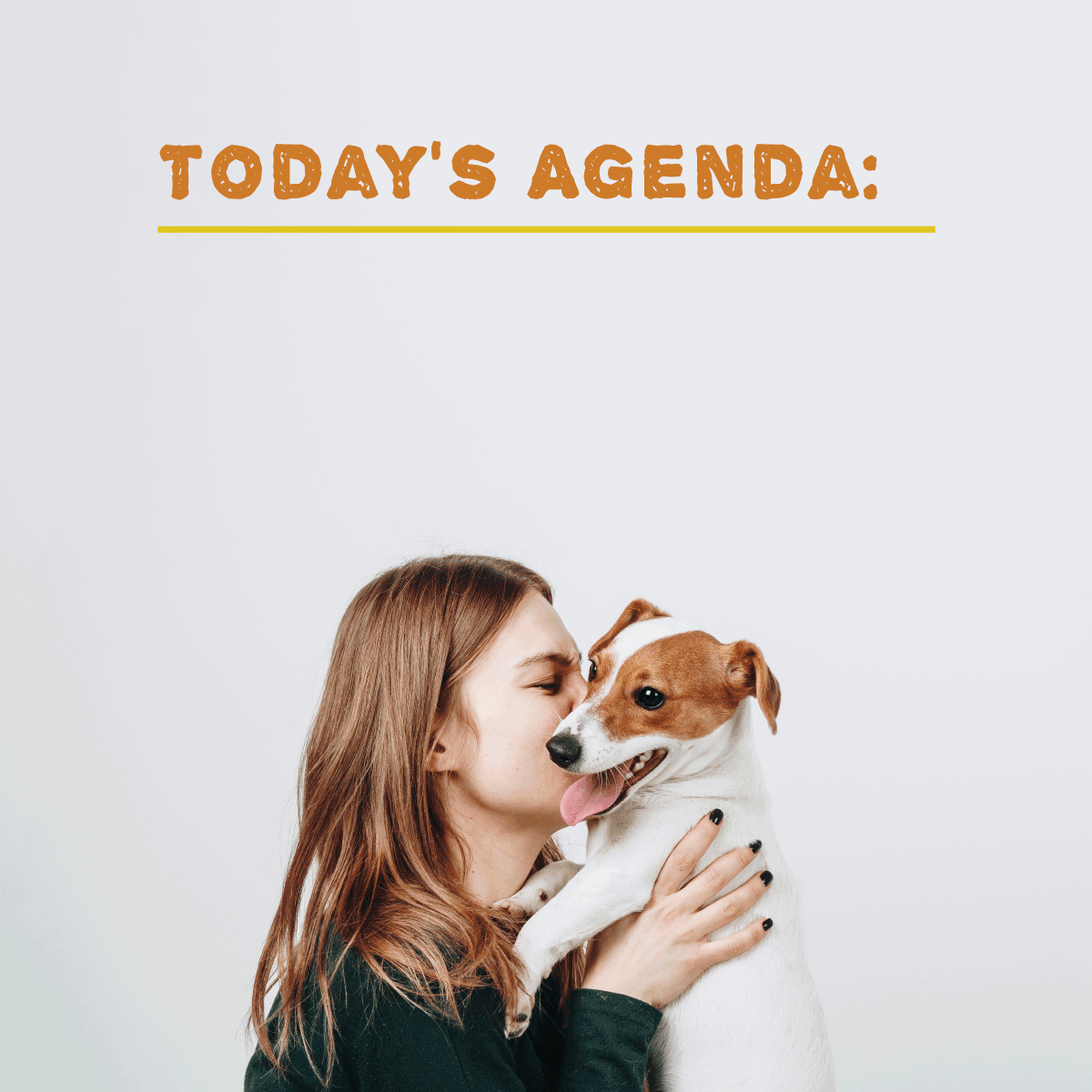 Pet-Poison_Social_001.gif