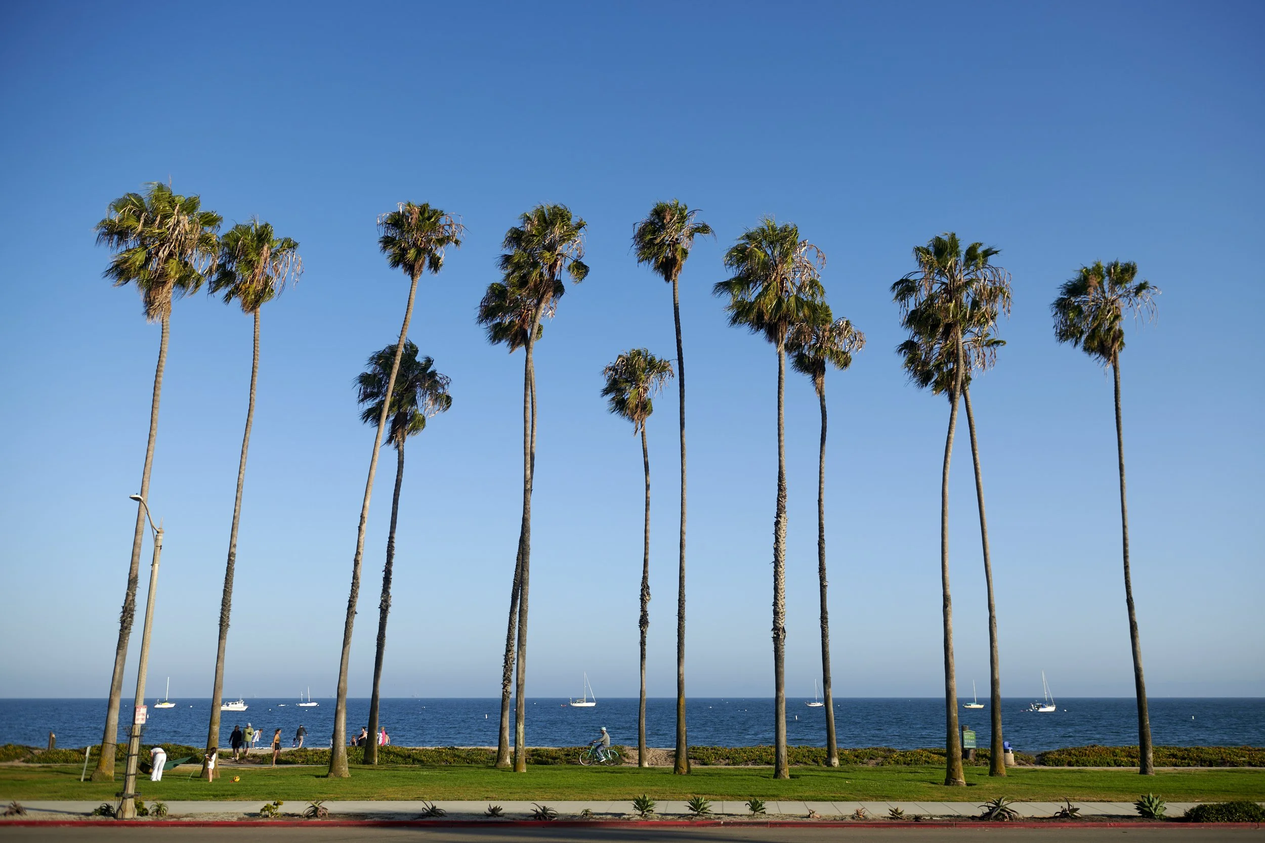 JLH_9496_SF.jpg