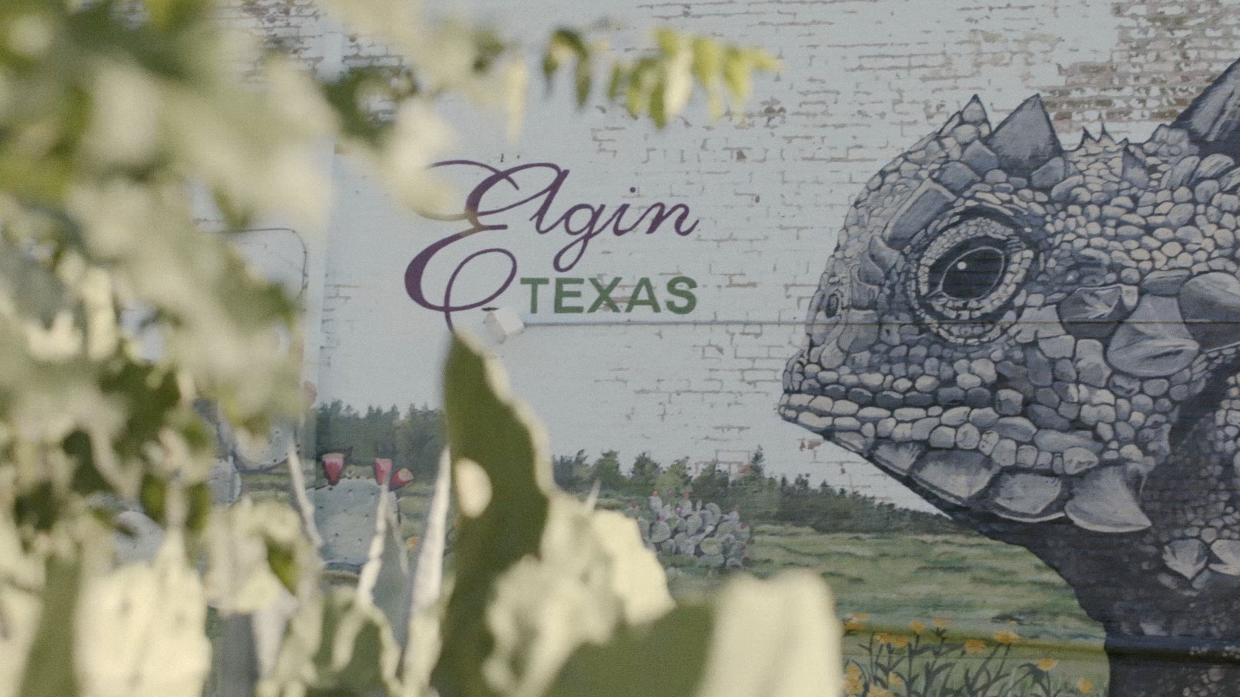 Elgin Tourism, “Anthem”