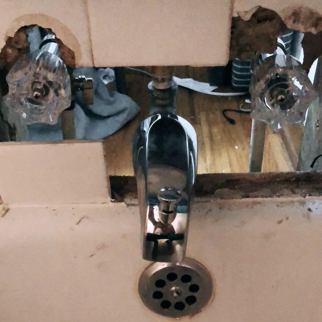 bathroom troubles.jpg
