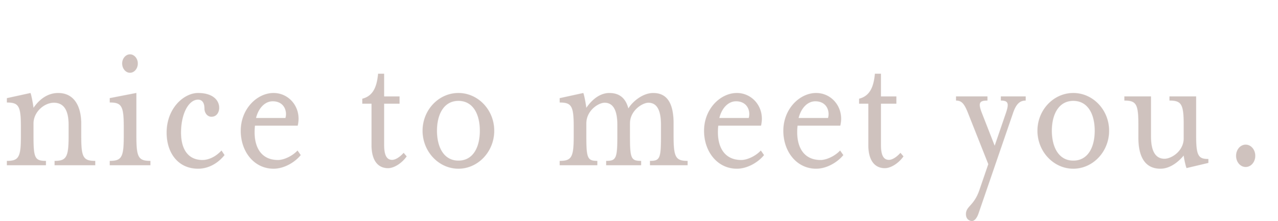 nice to meet you.png