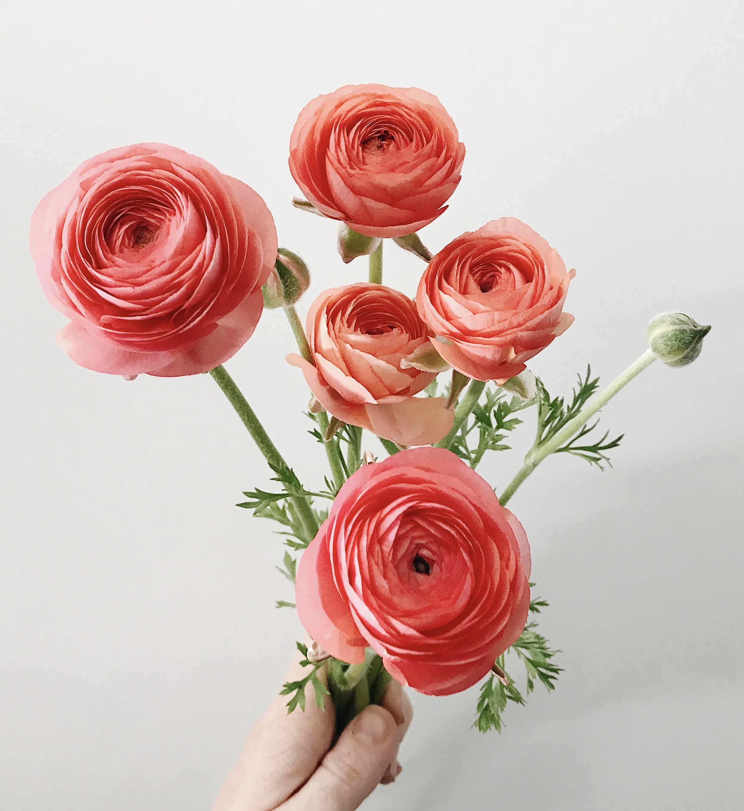 157B9B5A-DB84-4BD8-8F2D-2F38A669B0DF 2.jpg