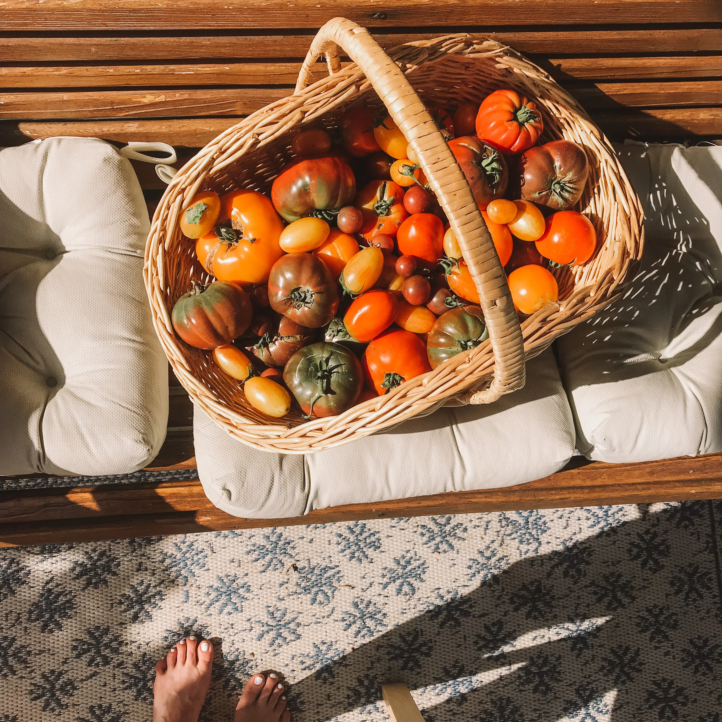 Tomato Season is Here