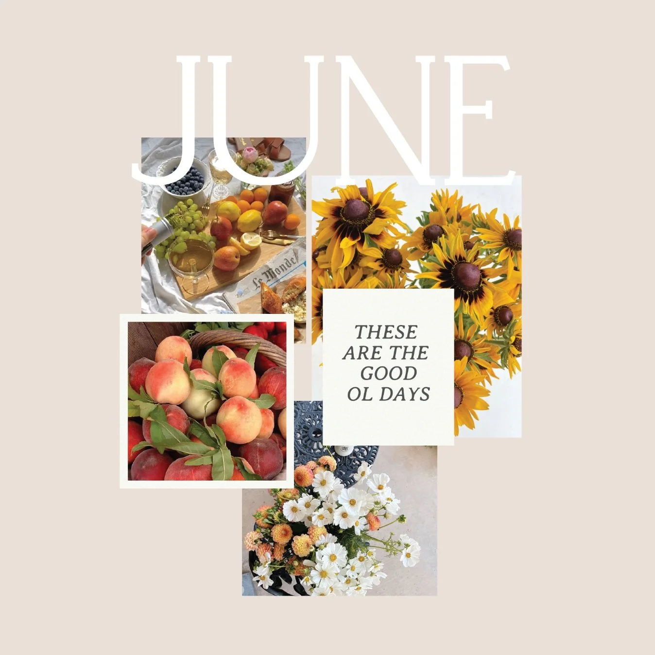 June Happenings + Goals