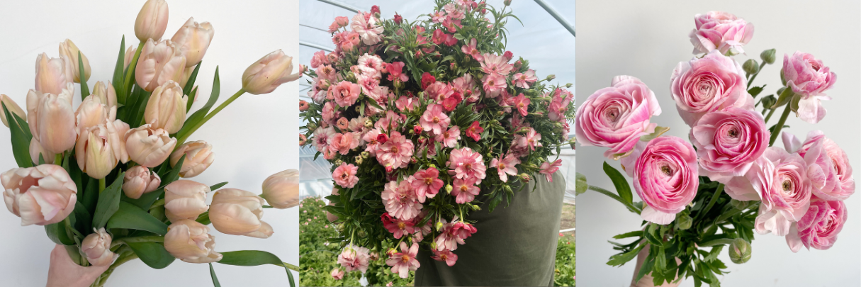 flower banner 2.png