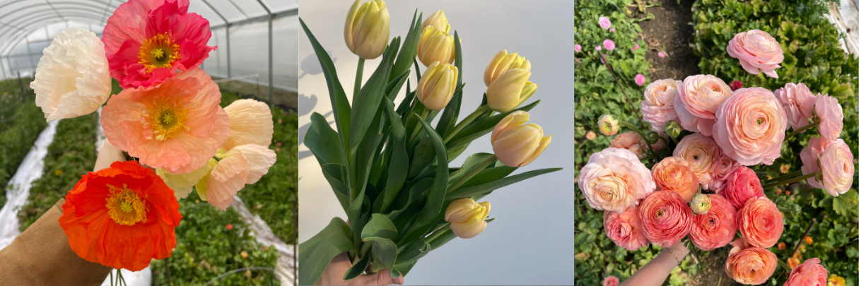 flower banner 1.png