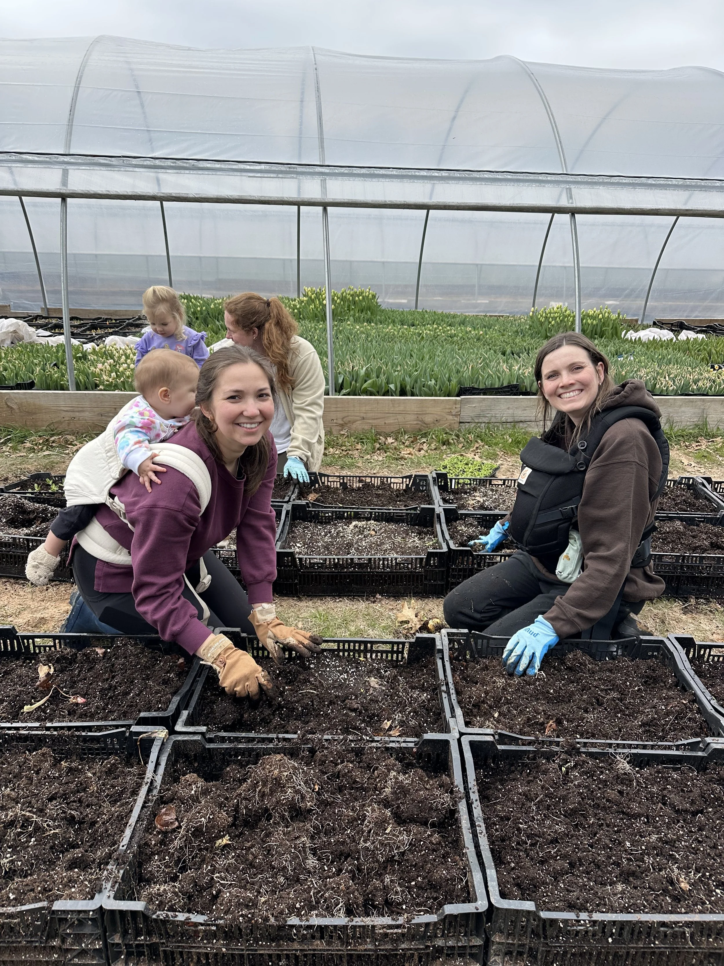 A Little Help From Our Friends