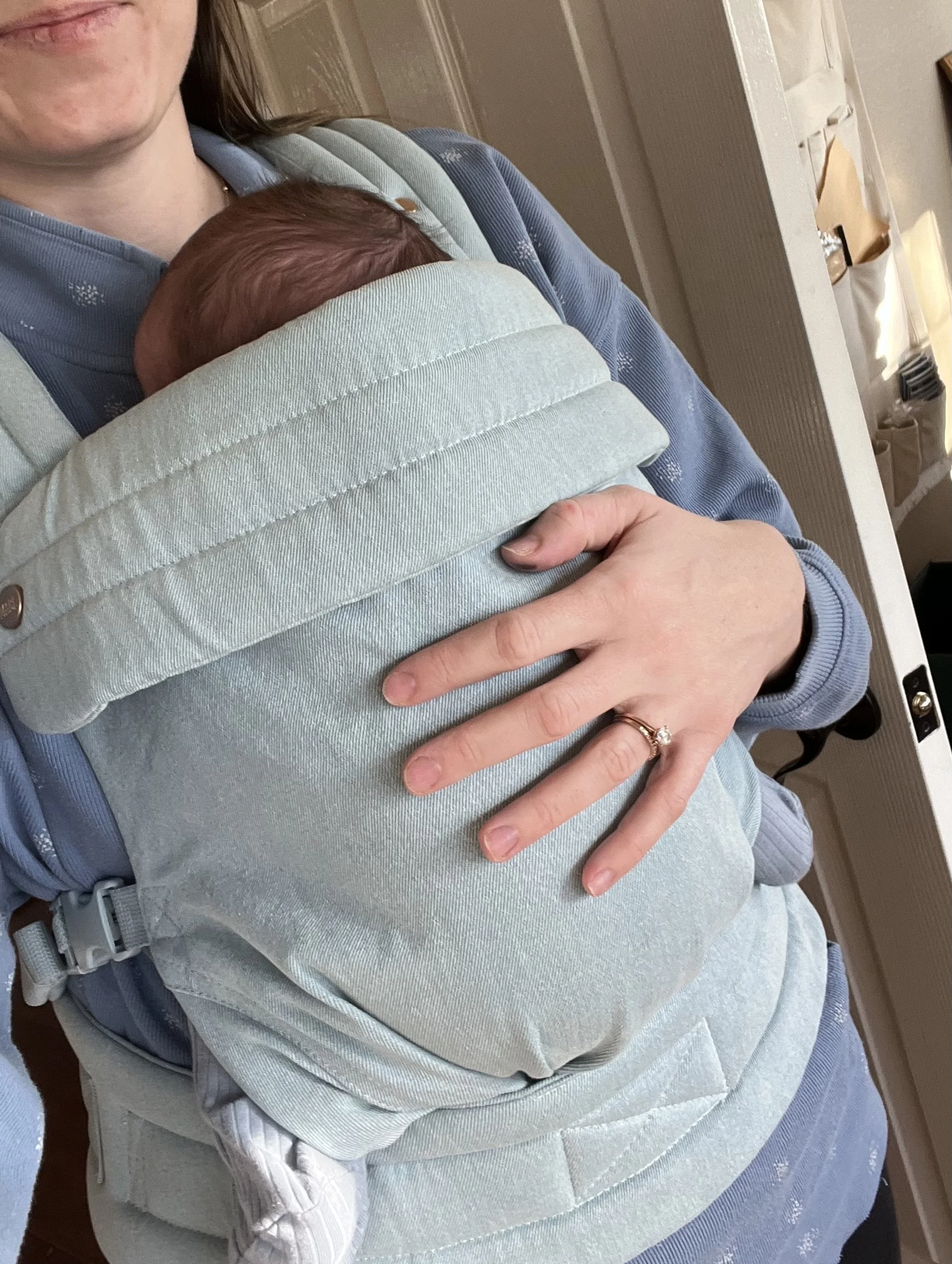 Baby Carrier Roundup