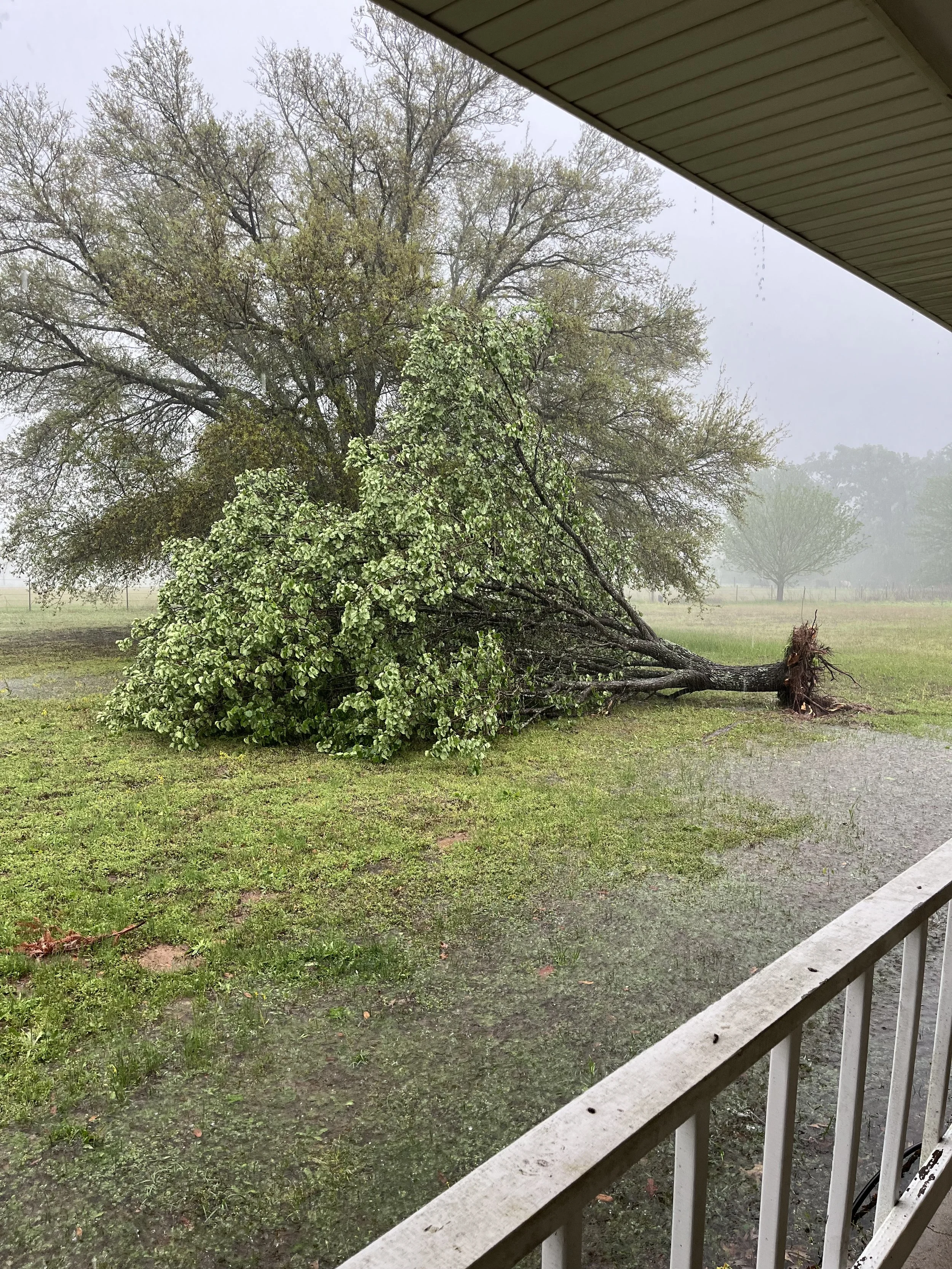 April Showers (&amp; Tornado Warnings)