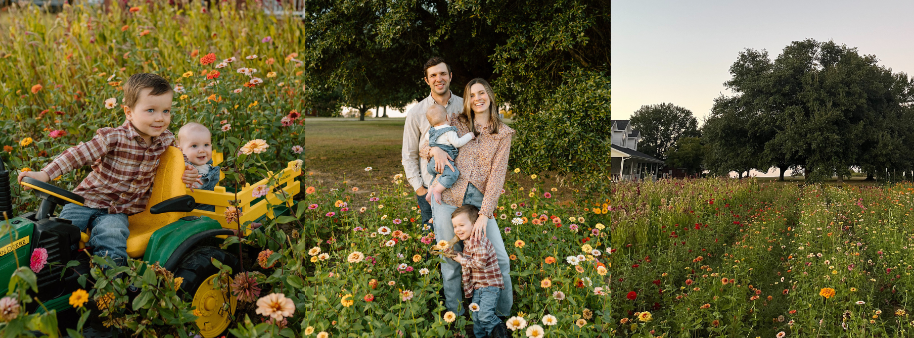 Untitled design (2).png