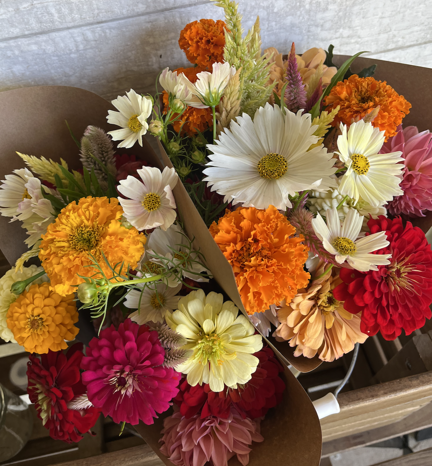 Screenshot 2025-09-15 at 8.50.54 AM.png