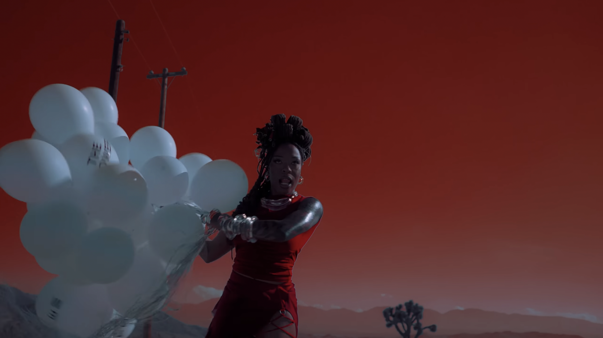 A BUG'S LIFE | Sudan Archives