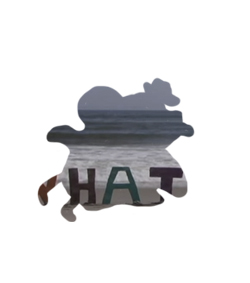 hat.jpg