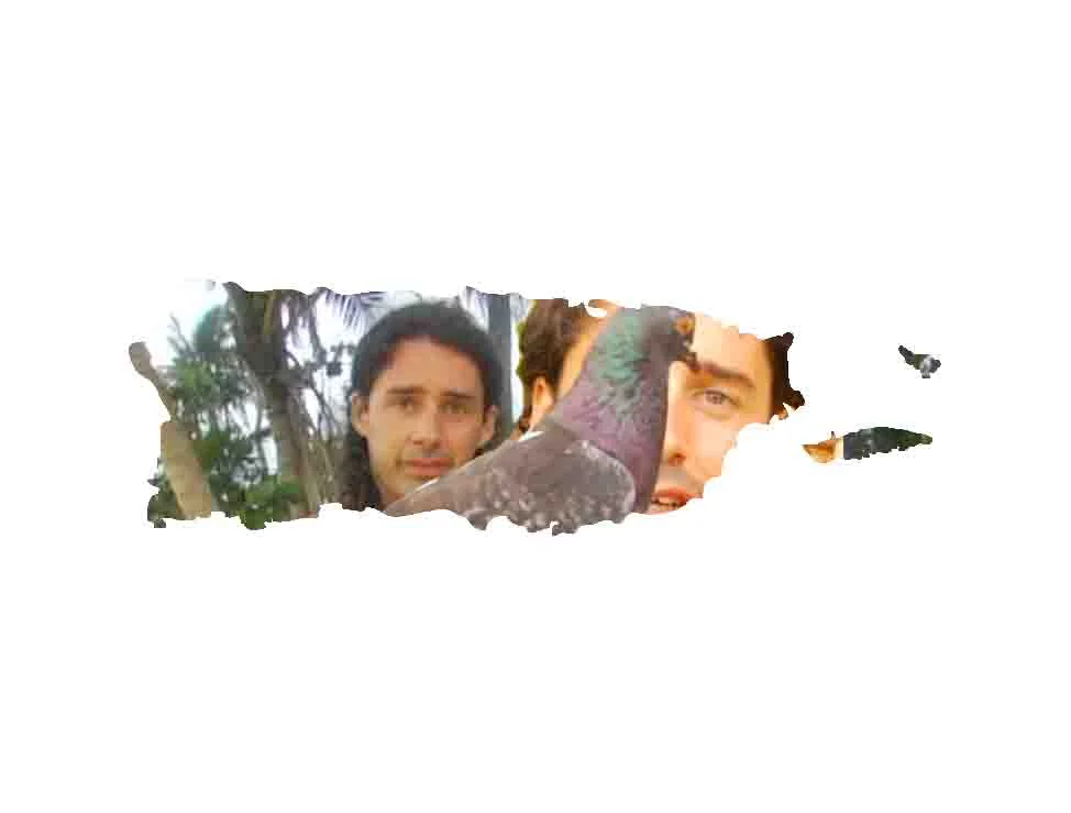 Juan Wauters // Guapa (Official Video)