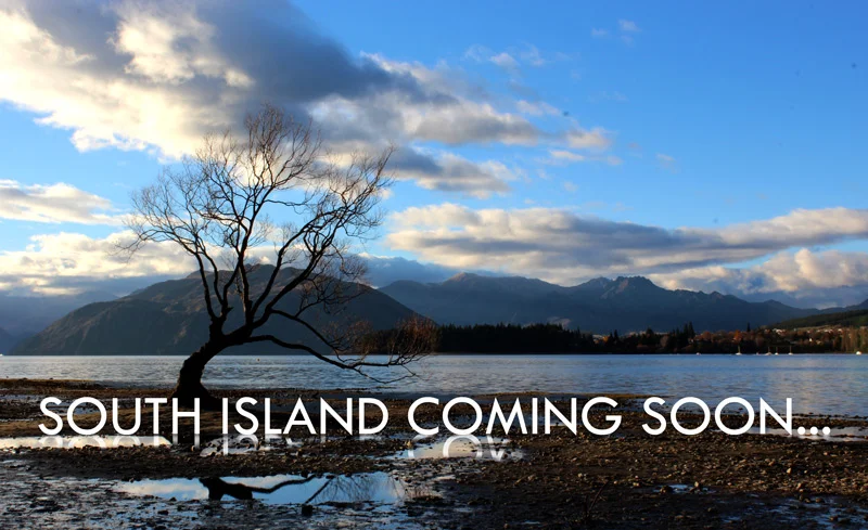 ultimate-nz-SI-comingsoon.jpg