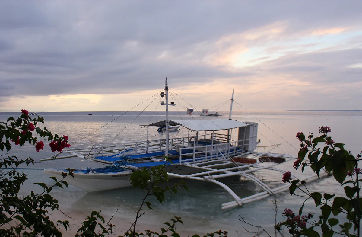 cebu4.jpg