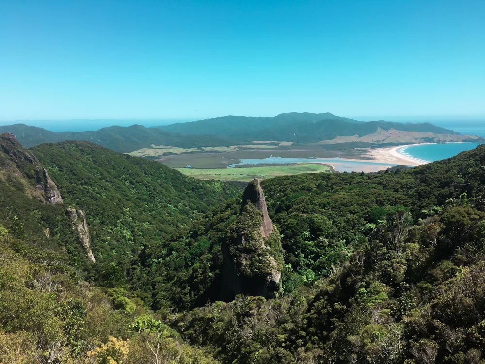 Long weekend on Great Barrier Island — The Lost Girls