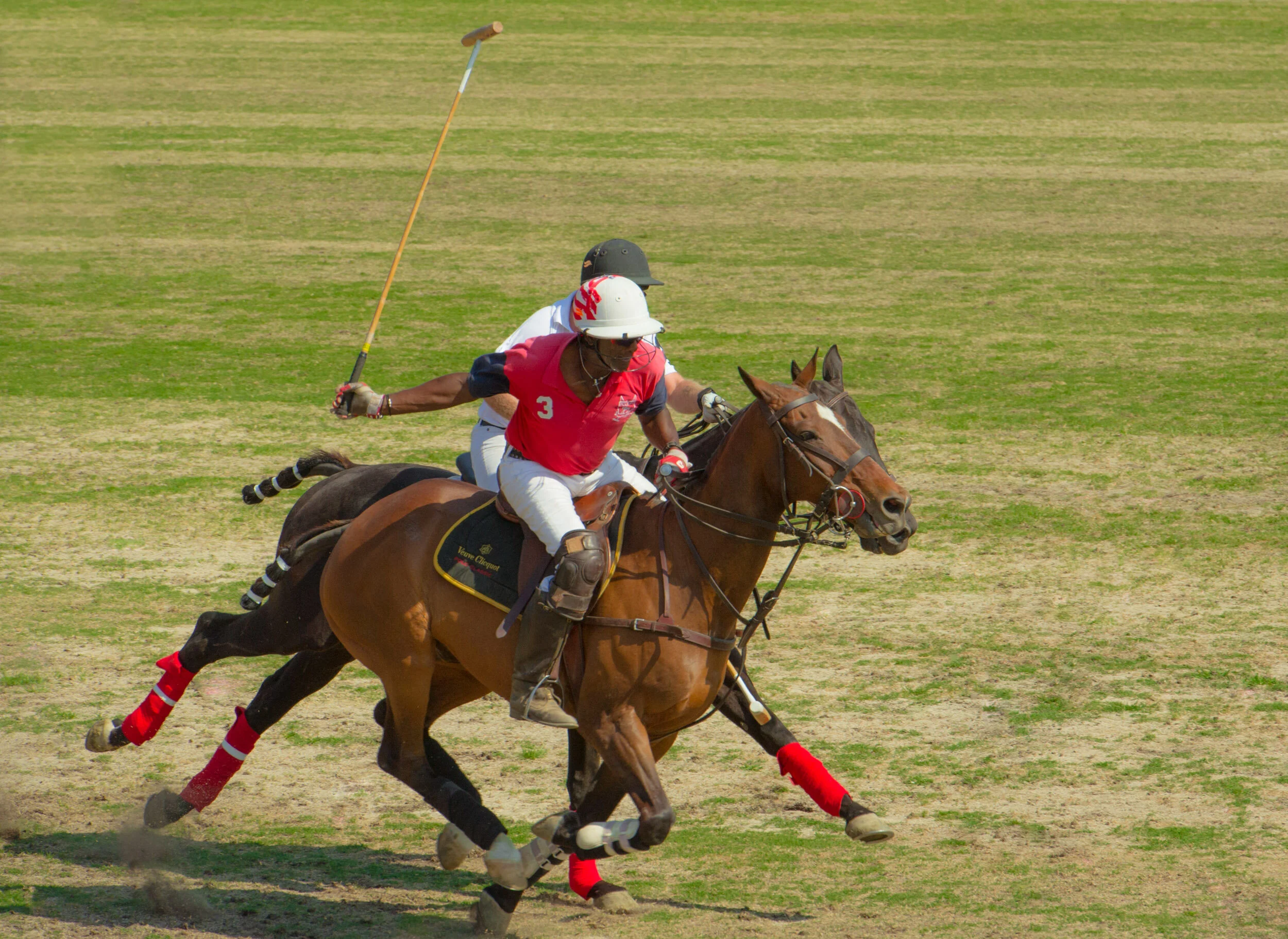 polo1.jpg