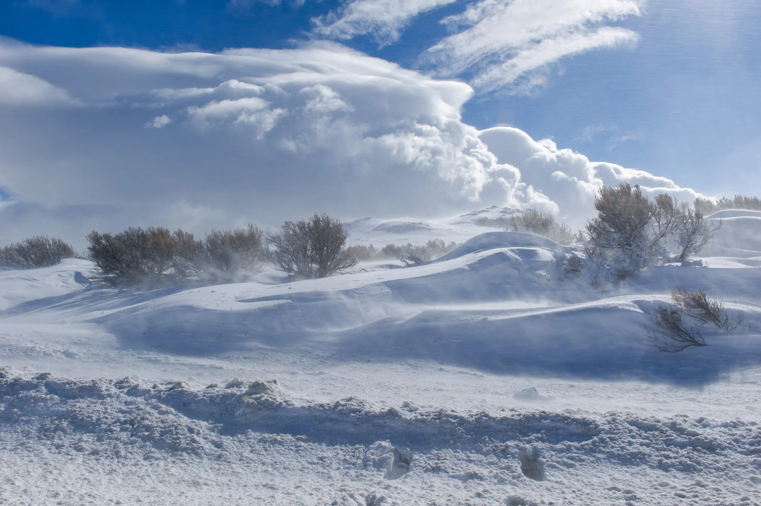 snow4.jpg