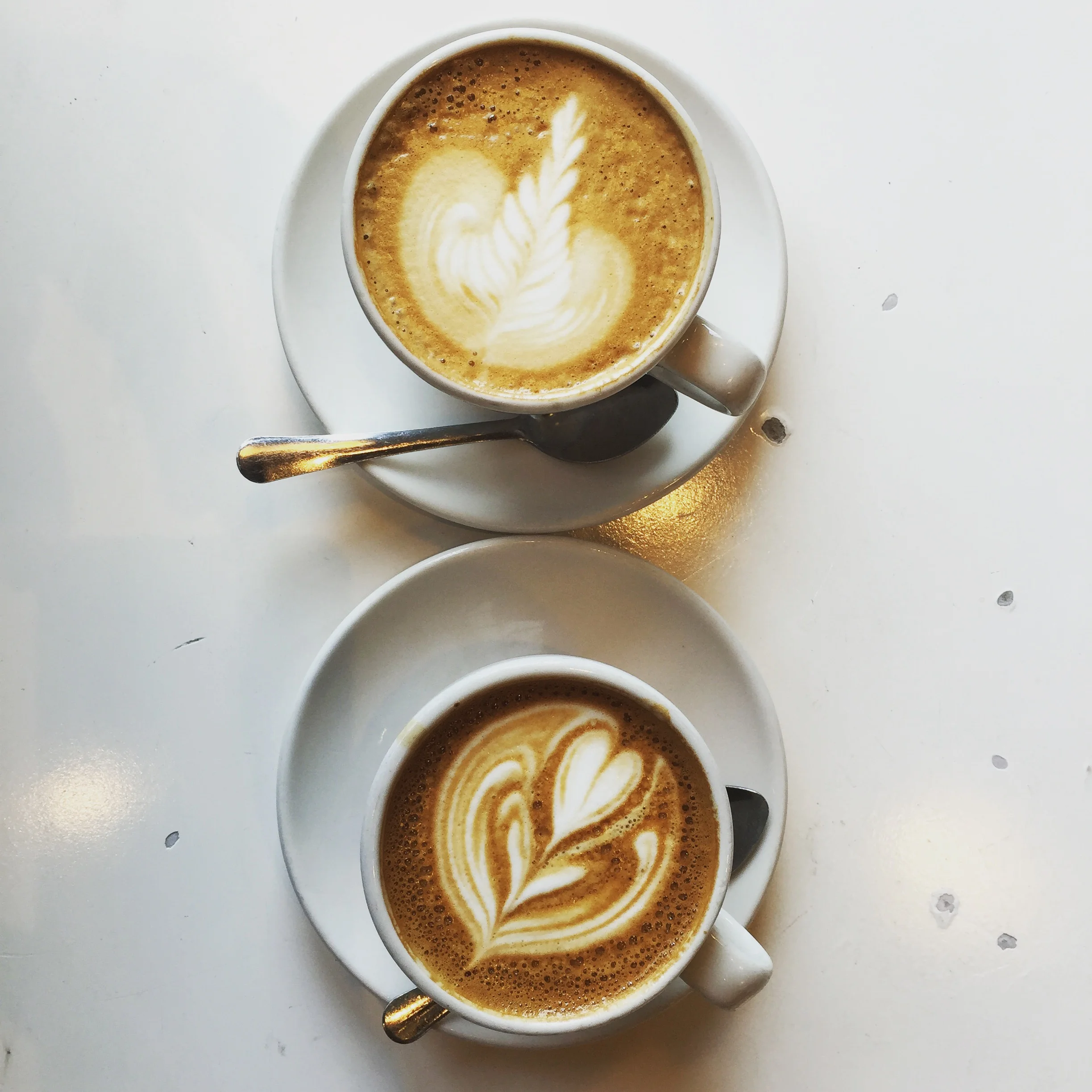 Toby's Estate - Brooklyn NY