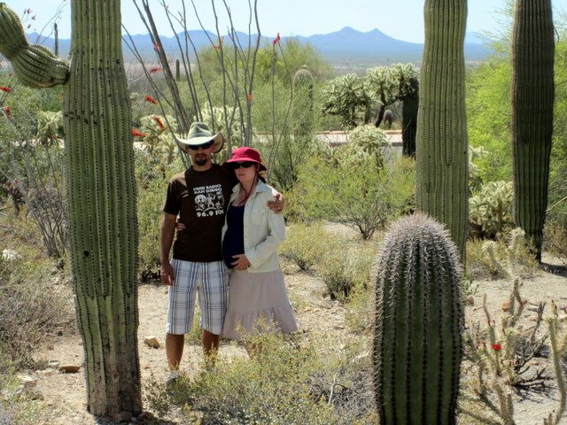 Saguaro National Forest, 2010.