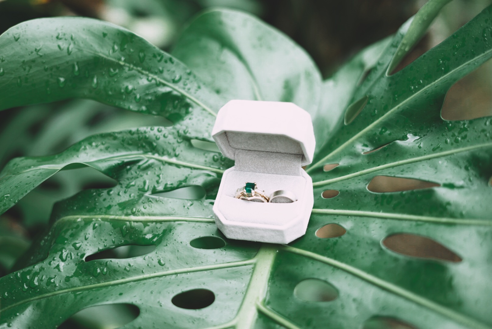 Monstera Leaf Wedding Rings