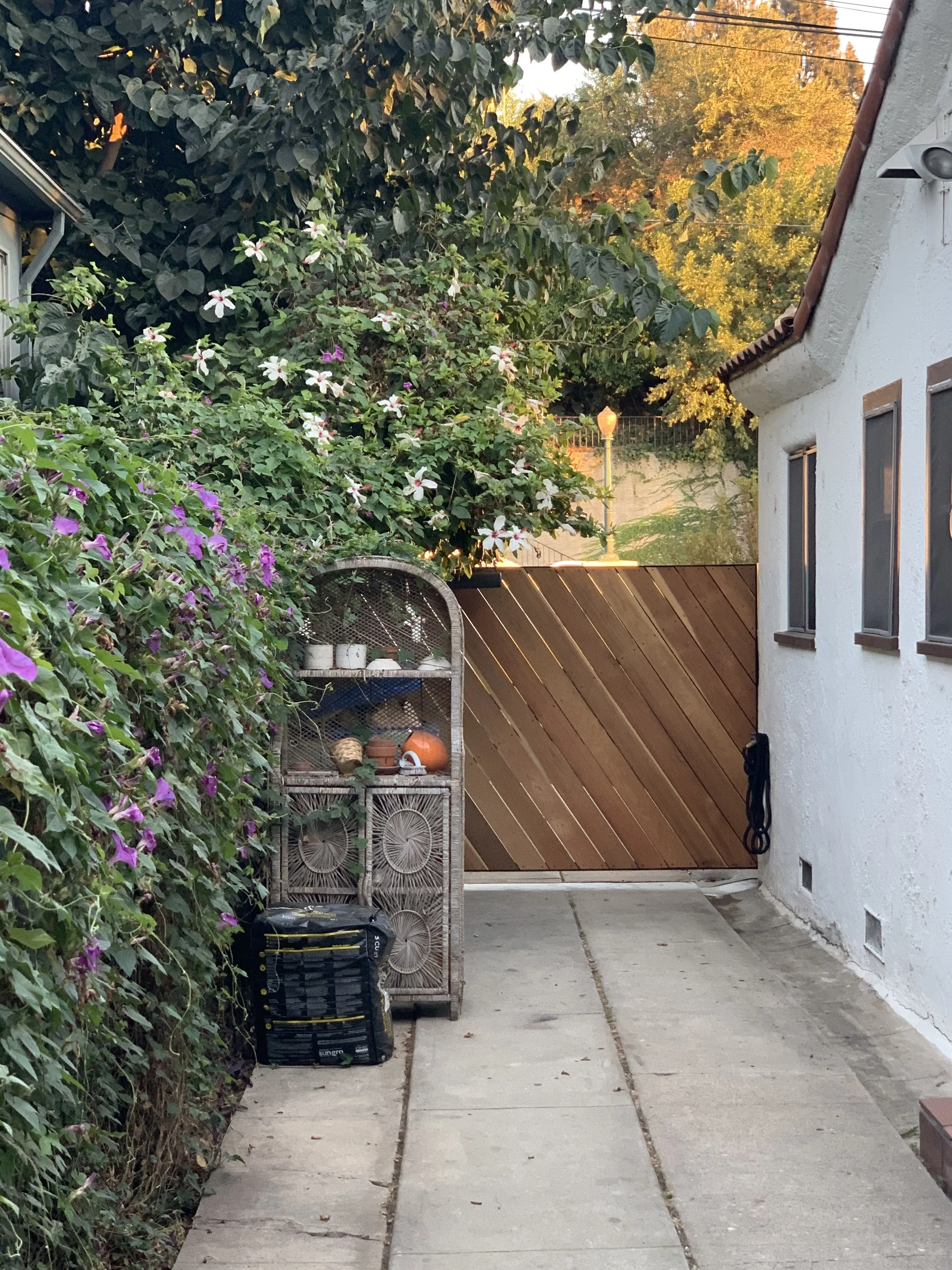 Driveway gate back.jpeg