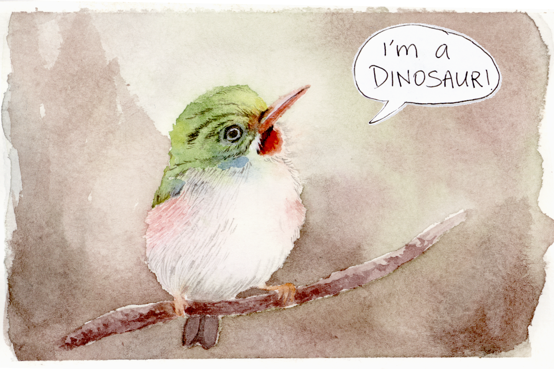 Birds are dinos, too!