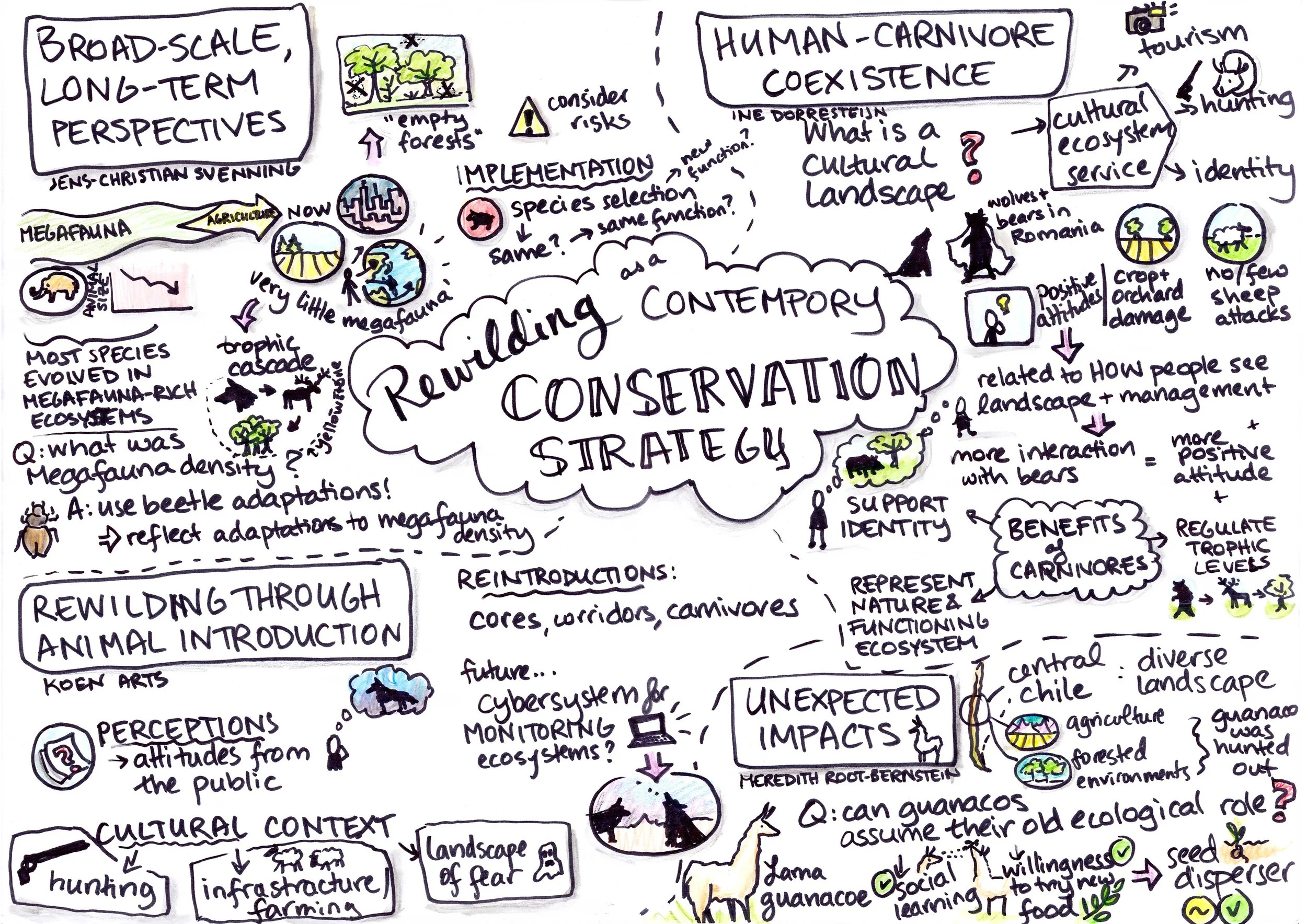 Rewilding as a Contemporary Conservation Strategy