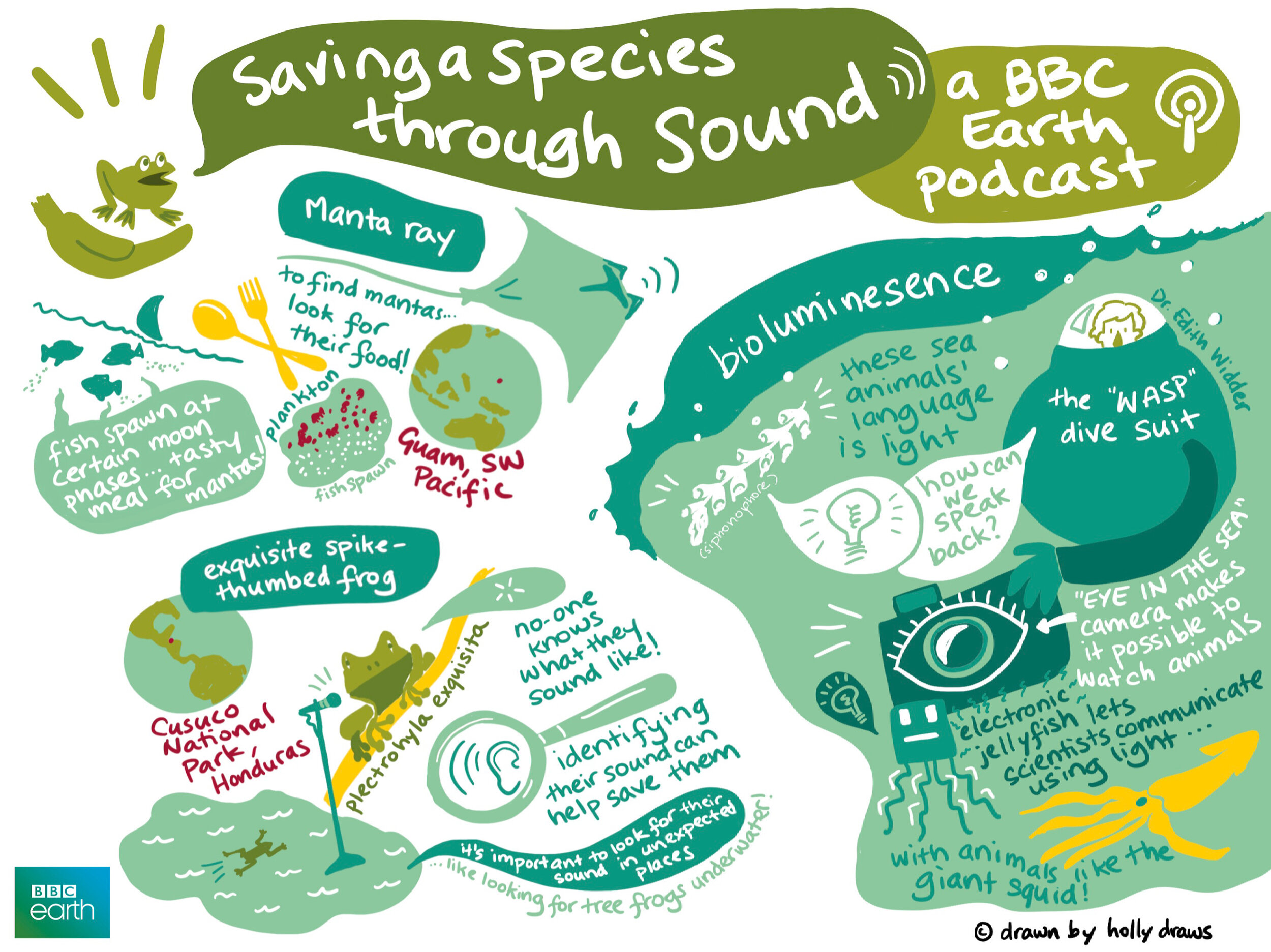  A mini digital graphic recording I did for the “Be A Graphic Recorder Course” with  Cara Holland . I picked an episode of the BBC Earth podcast called “Saving a Species Through Sound“, and challenged myself to stick to about 30 minutes (with a Googl
