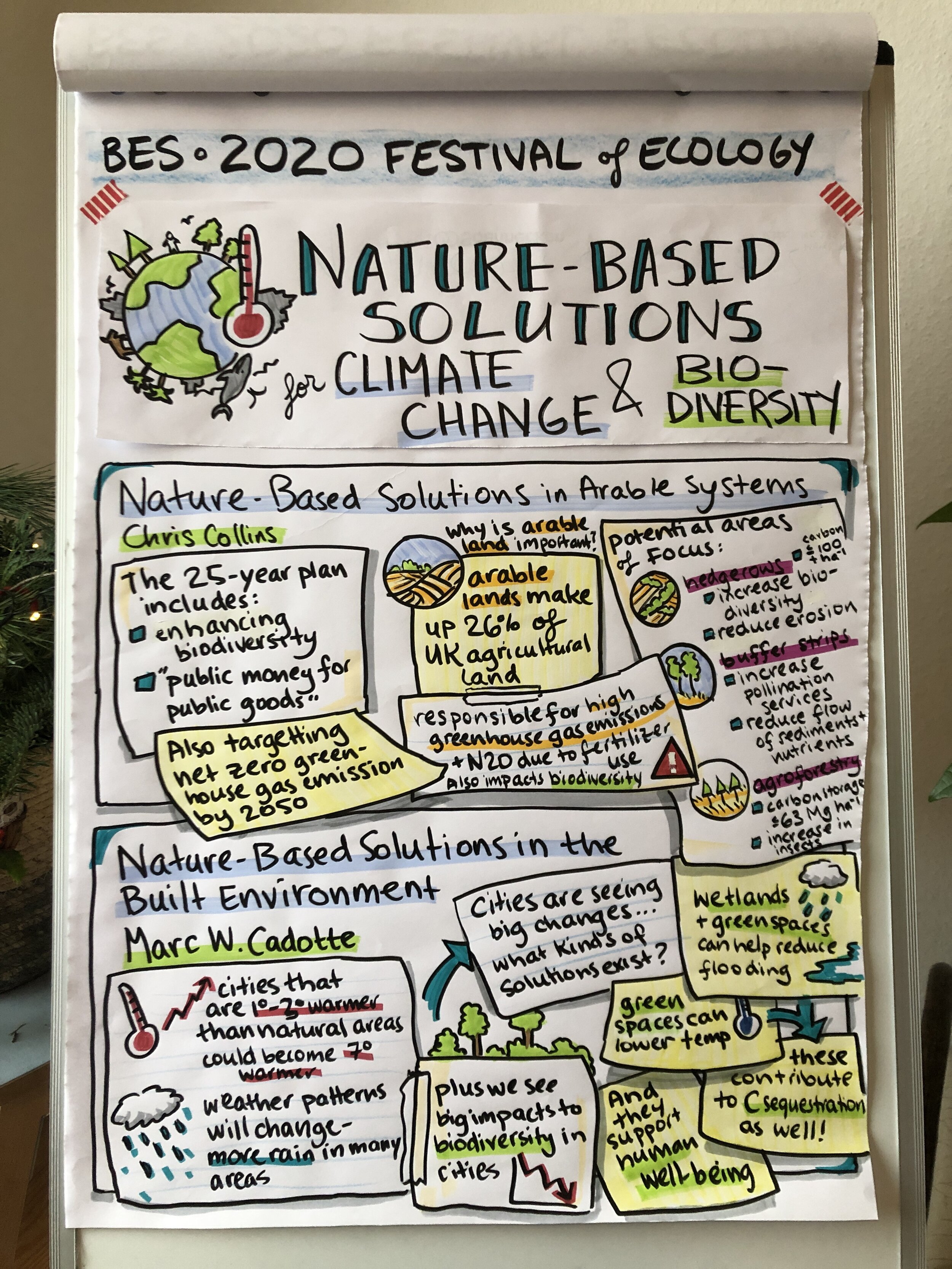 Nature-Based Solutions P3.jpg