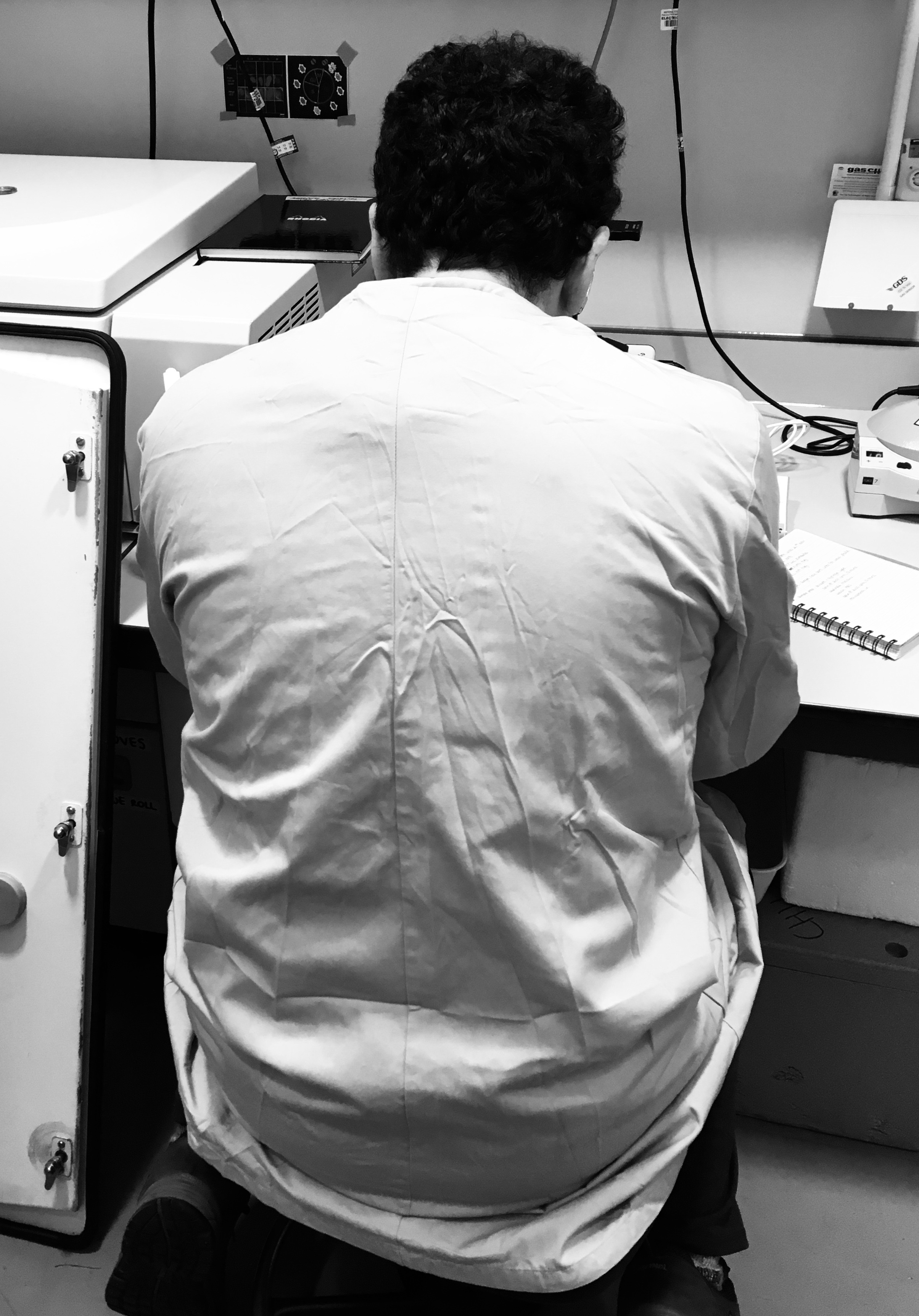 Eduardo, too excited by Toxoplasma tachyzoites to pull his eyes away from the microscope.