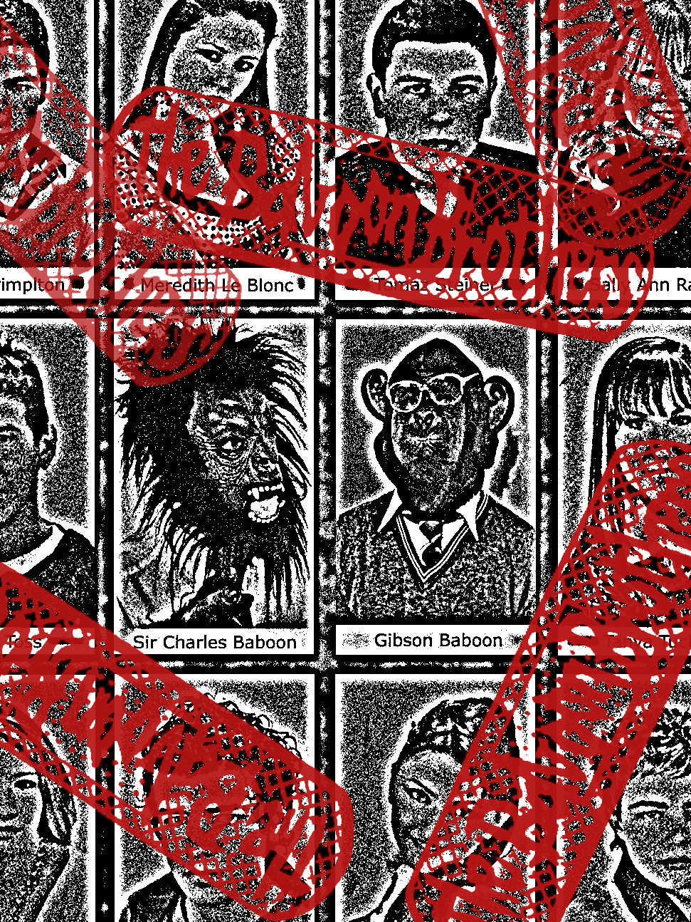 BaboonShoot#5.3.jpg