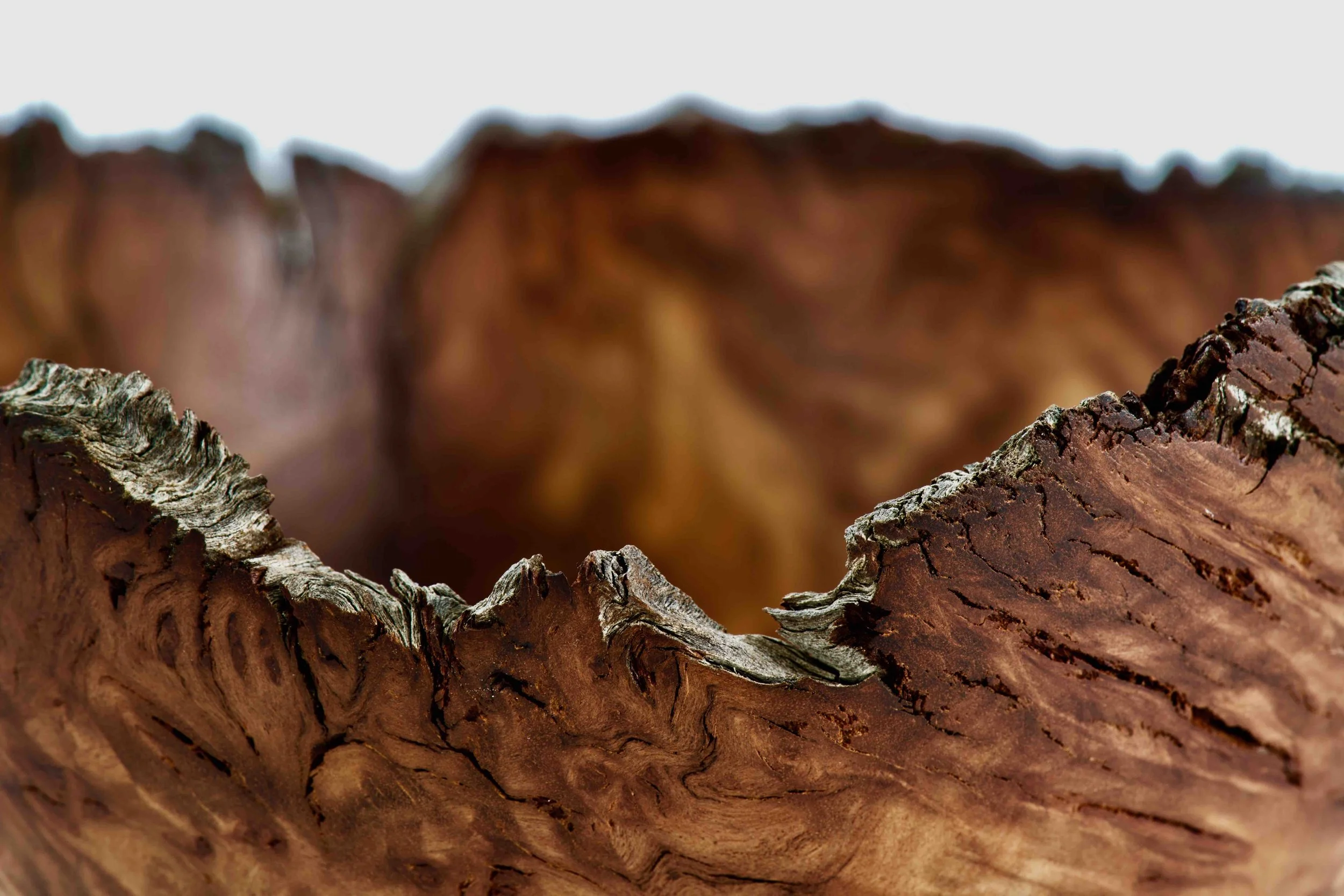 Neil Turner - Natural Edge Bowl tutorial outro.