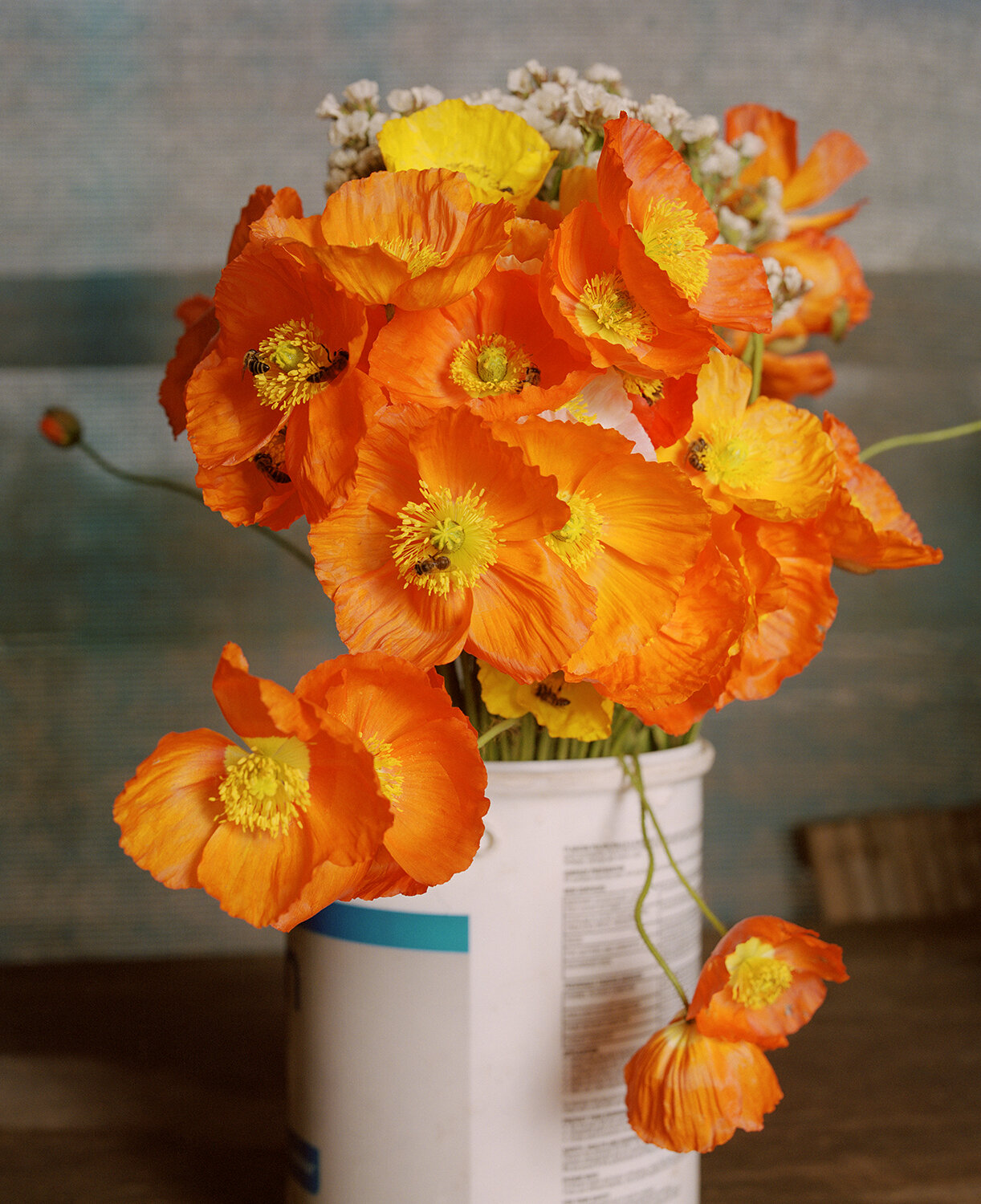 Conversations with Bees  This image of the poppies in the bucket is reminiscent of colonial Dutch paintings, but instead of the flowers being in an ornate vase they are in a plastic paint bucket. The poppies represent Constantia as a place of transn