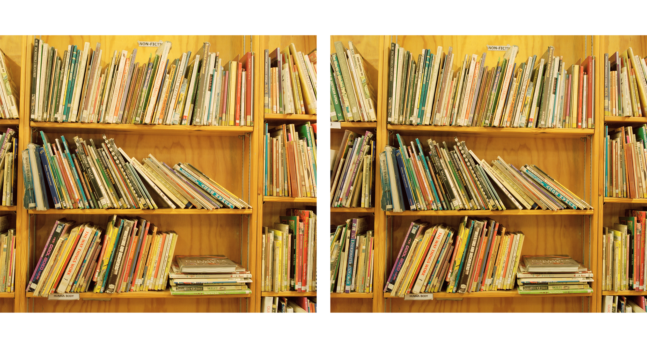  Diptych- Constantia Primary’s Library  