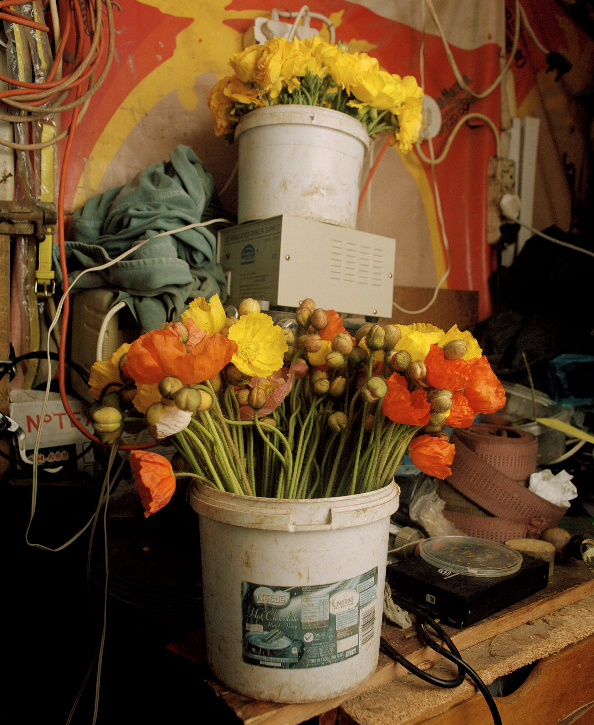  Jaftha Farm- This image of the poppies in the bucket is reminiscent of colonial Dutch paintings 