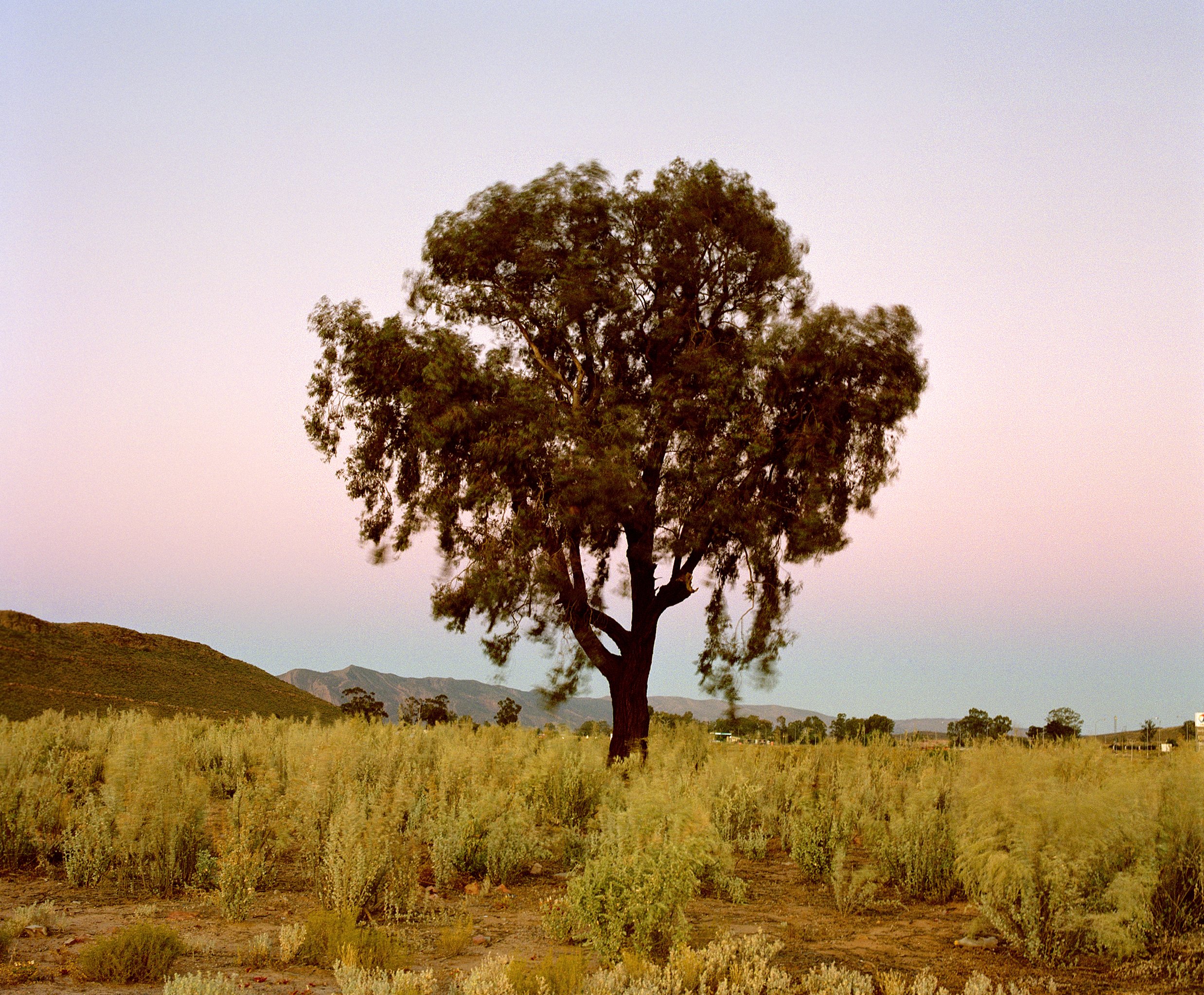  Lonesome Tree, Touwsriver 