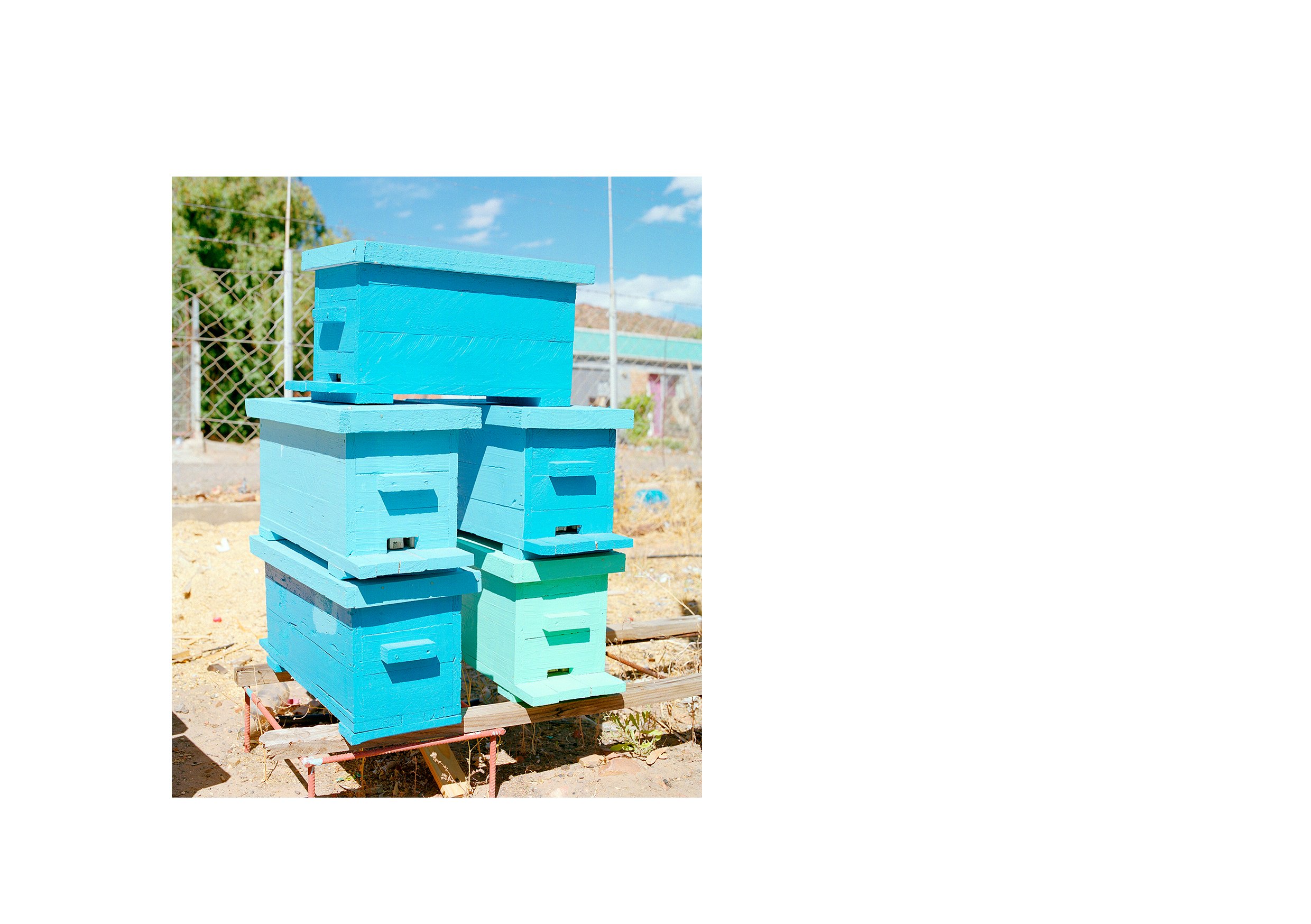  Blue Hives, Touwsriver 