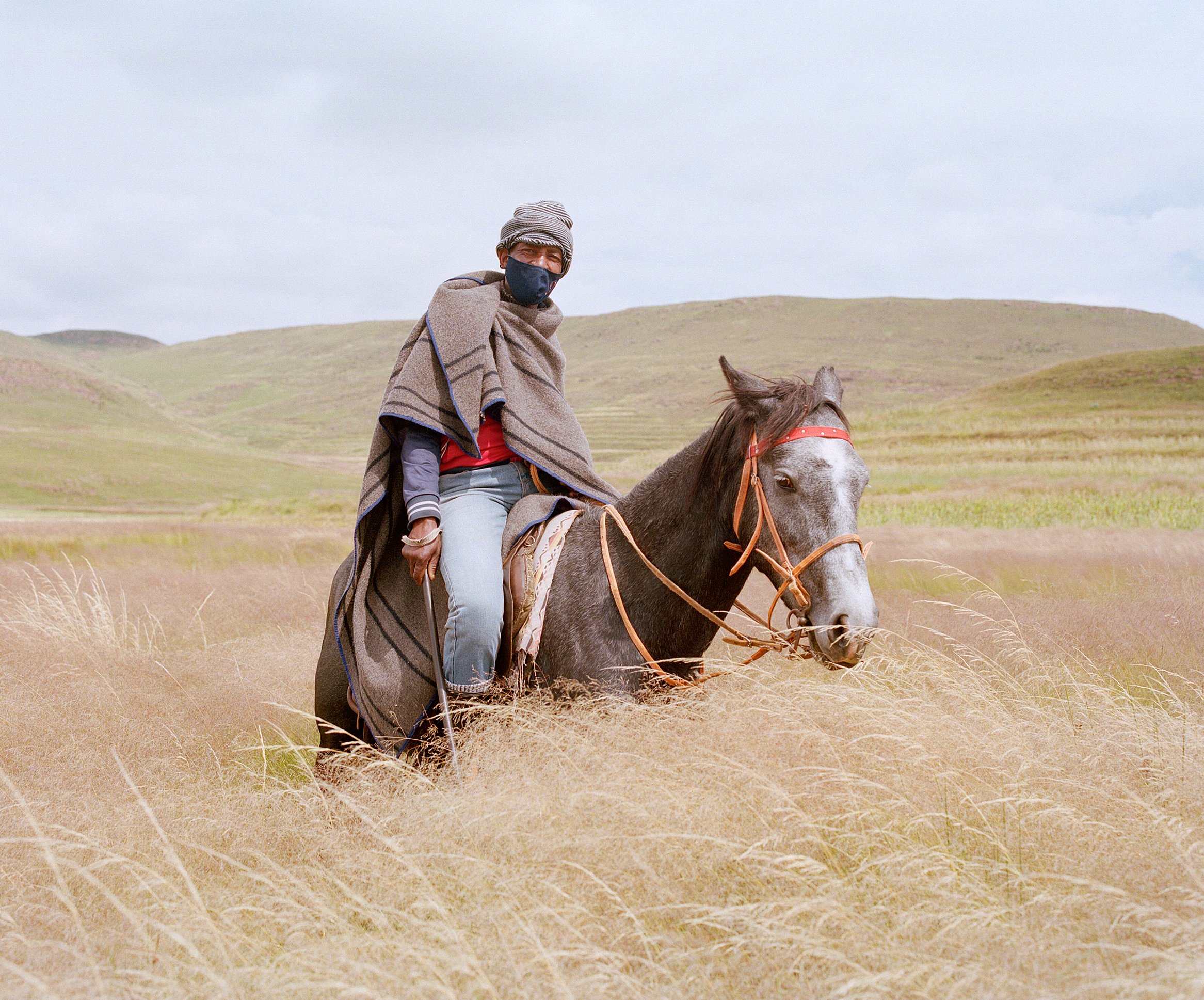  Horseman  Goodleaf x Altitude   Producing cannabis for medical and beauty products in the mountains of Lesotho 