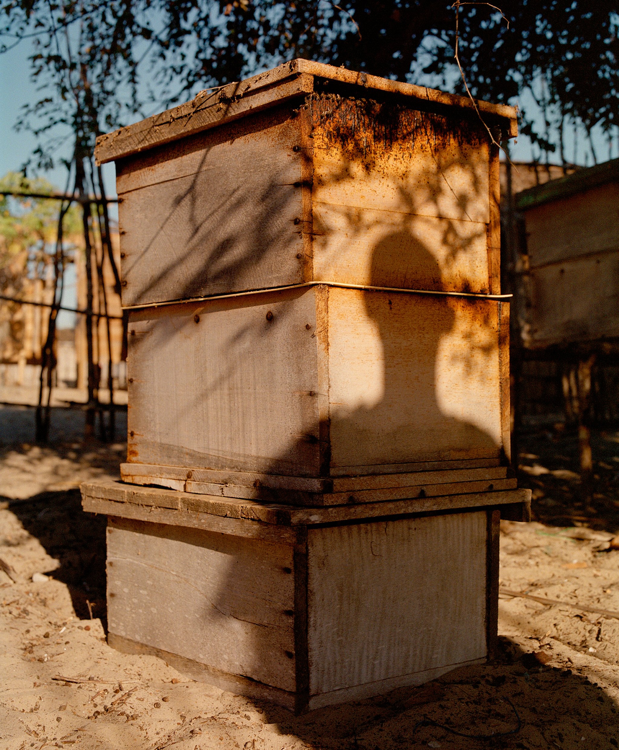  Bee Hives, Madgascar  Part of a collection of images for WWF that form part of project on the communities that are safe guarding the precious mangroves of East &amp; Southern Africa.  
