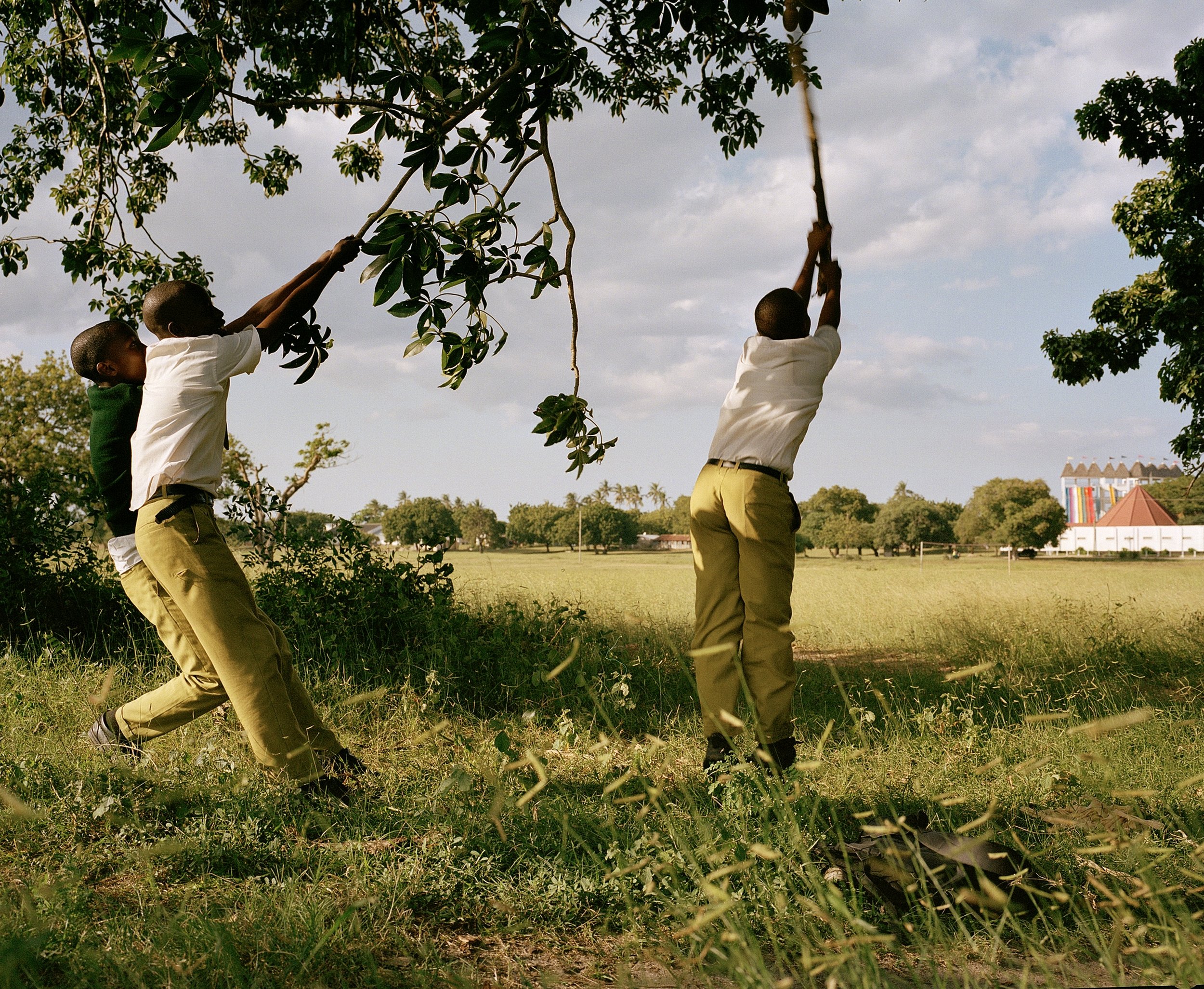  Boys Collecting Fruit, Dar Es Salaam  Part of a collection of images for WWF that form part of project on the communities that are safe guarding the precious mangroves of East &amp; Southern Africa.  