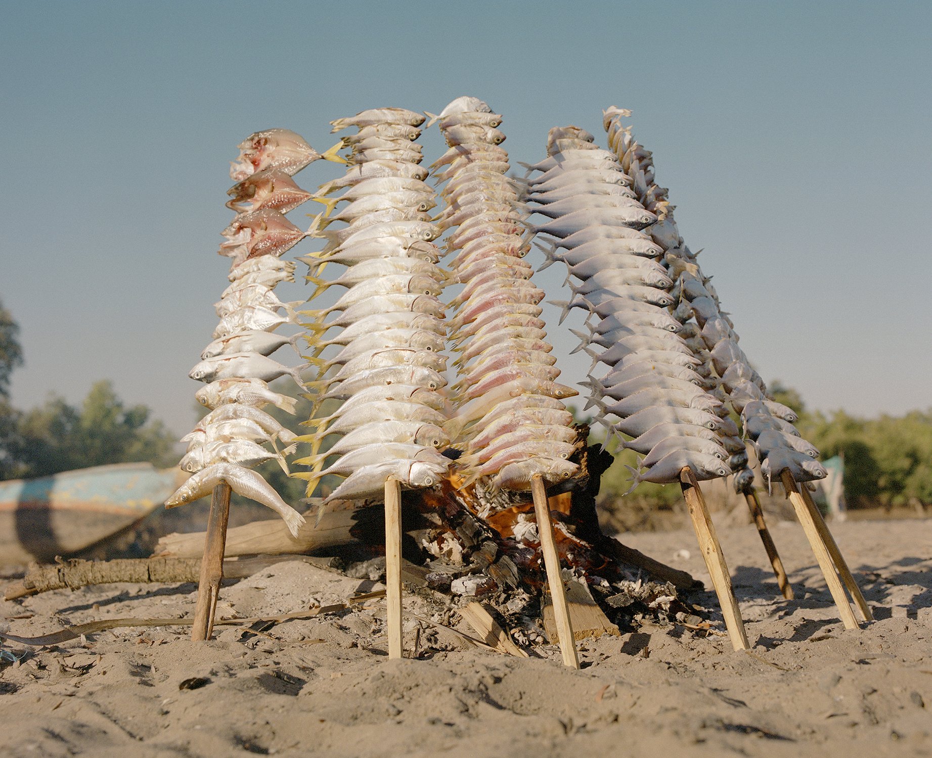  Smoking Fish, Madagascar  Part of a collection of images for WWF that form part of project on the communities that are safe guarding the precious mangroves of East &amp; Southern Africa.  